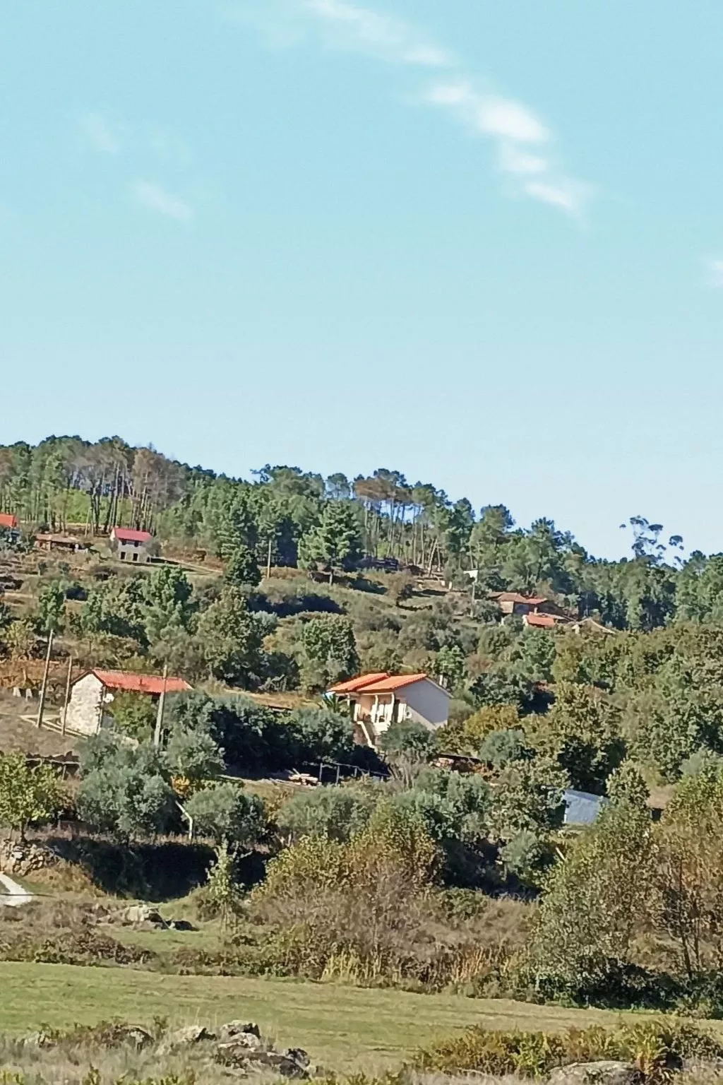 Ferien auf dem Bauernhof mit Weinberg-Outside