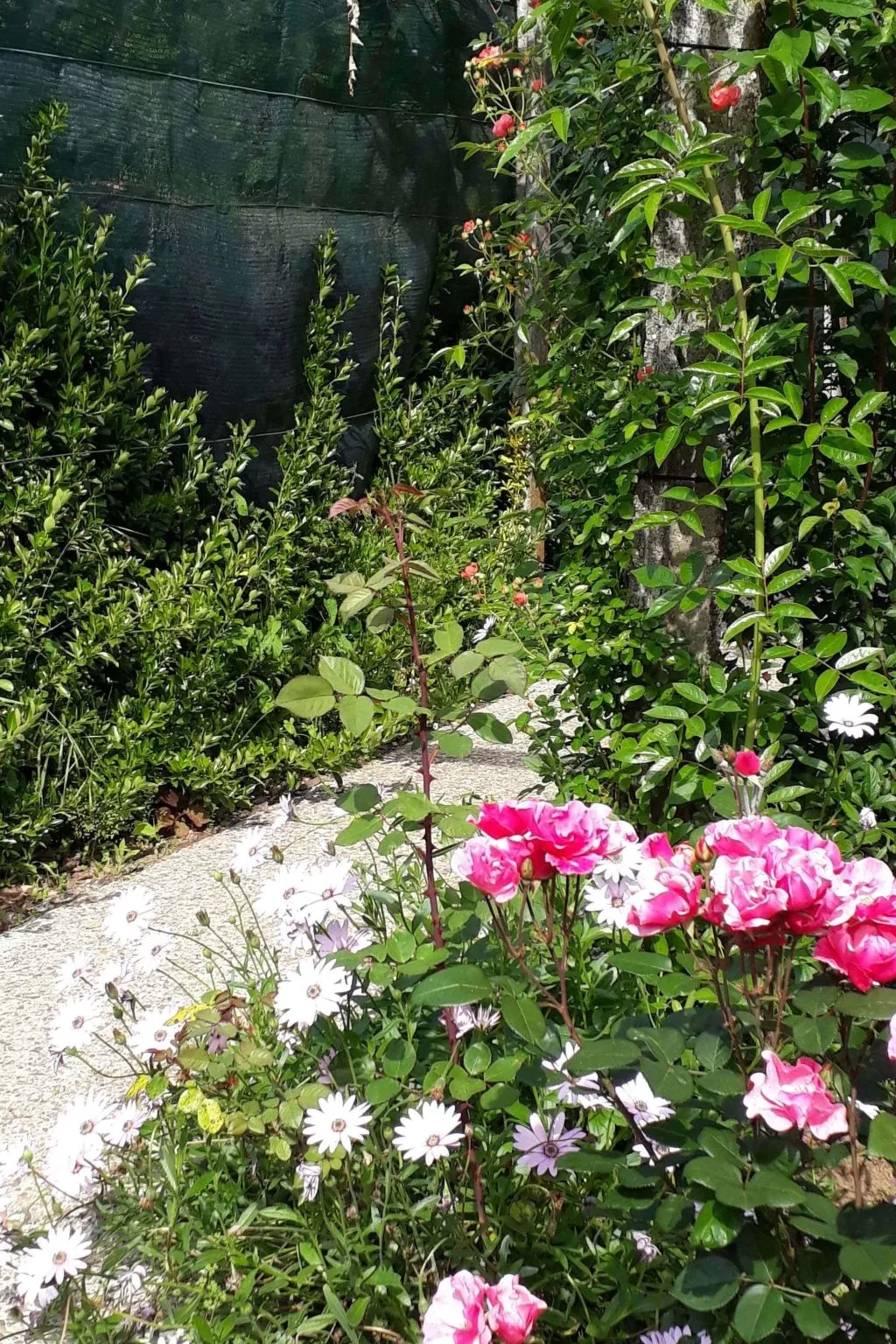 Quinta D'Avó Amélia, wunderschönes Landhaus zwischen den Bergen und dem Meer-Draußen