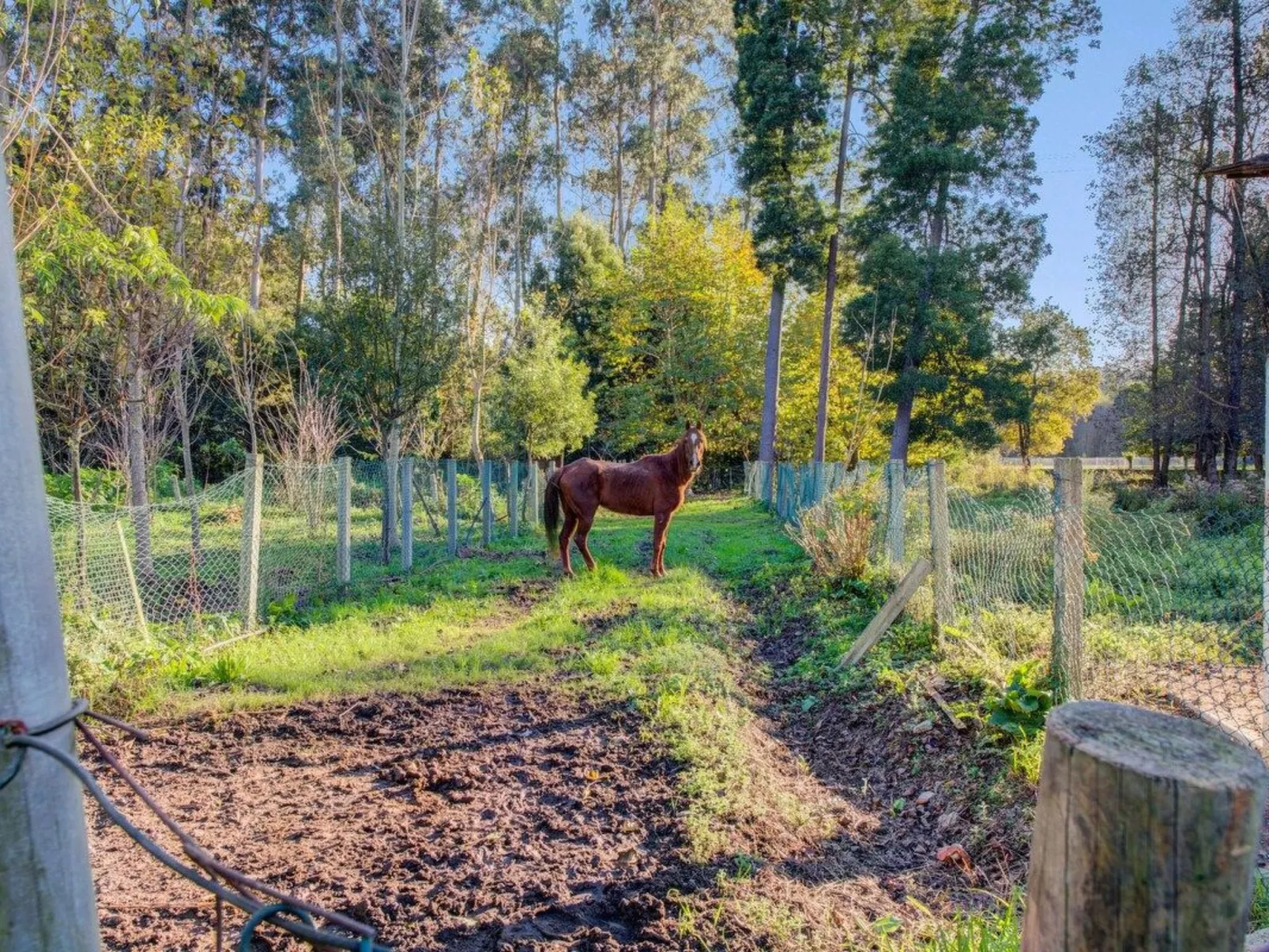 Maison du Moulin in Bauernhof-Draußen