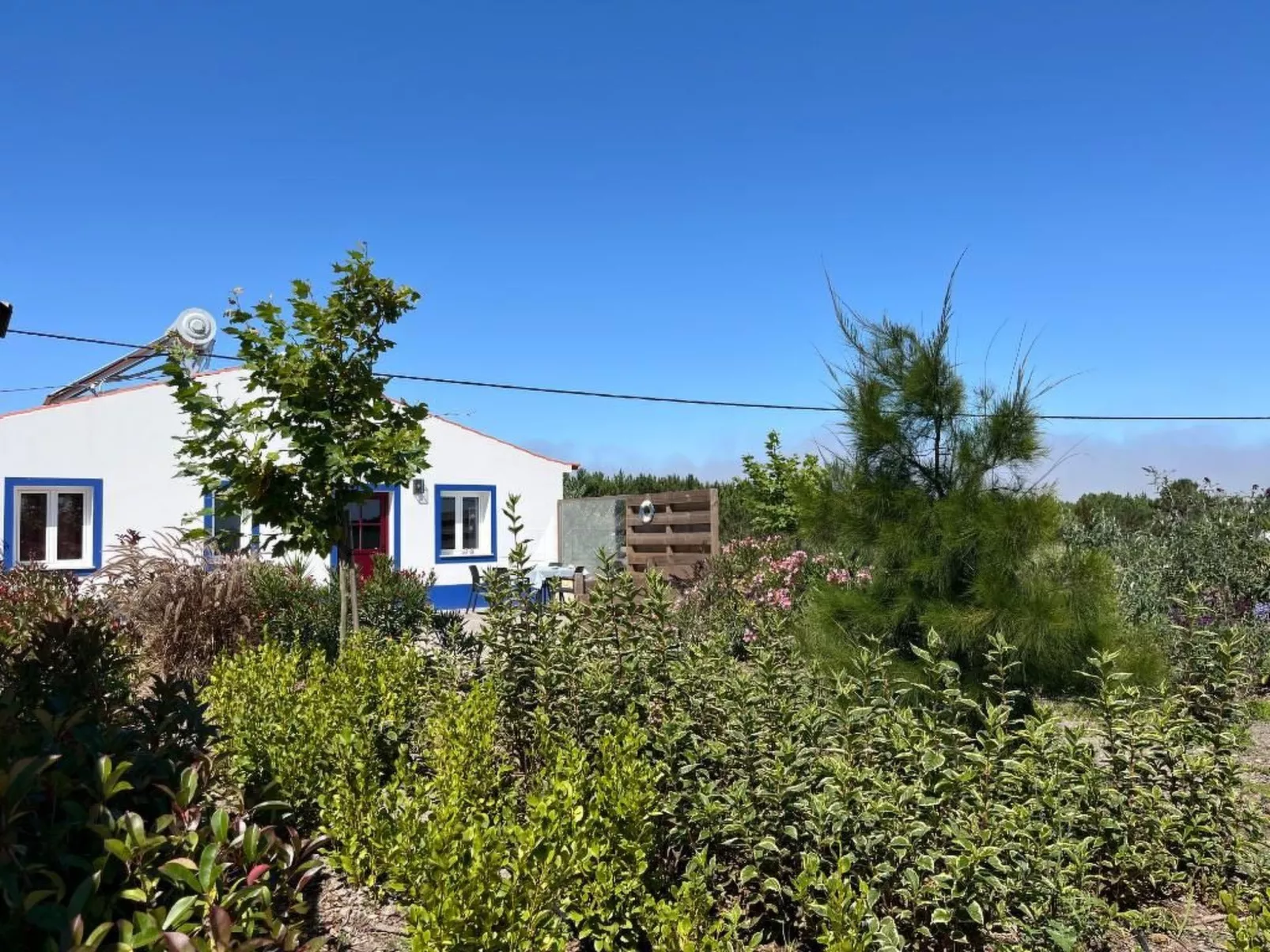 Auf dem Lande in der Nähe des Strandes-Outside