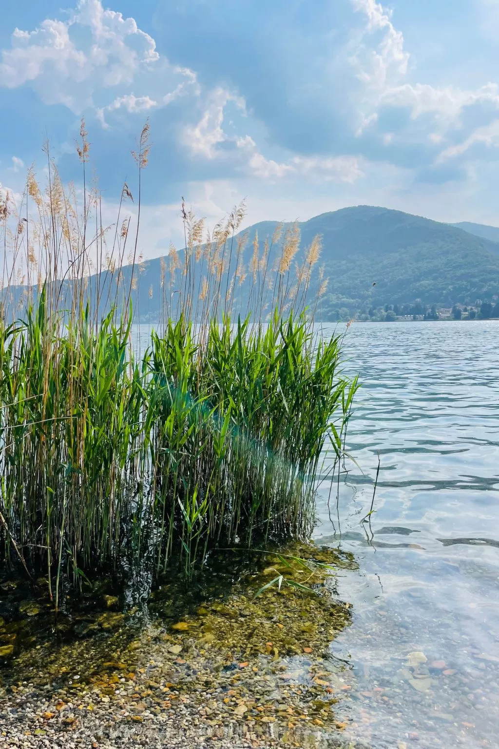 Residenza Contessa-Image-tags.info