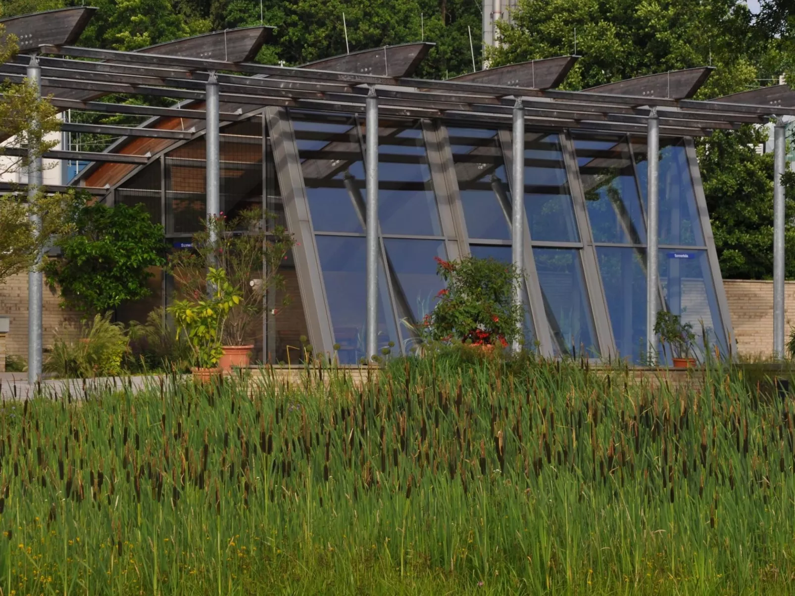 Rosalie - Ruhig - Zentral - Hochwertig-Outside