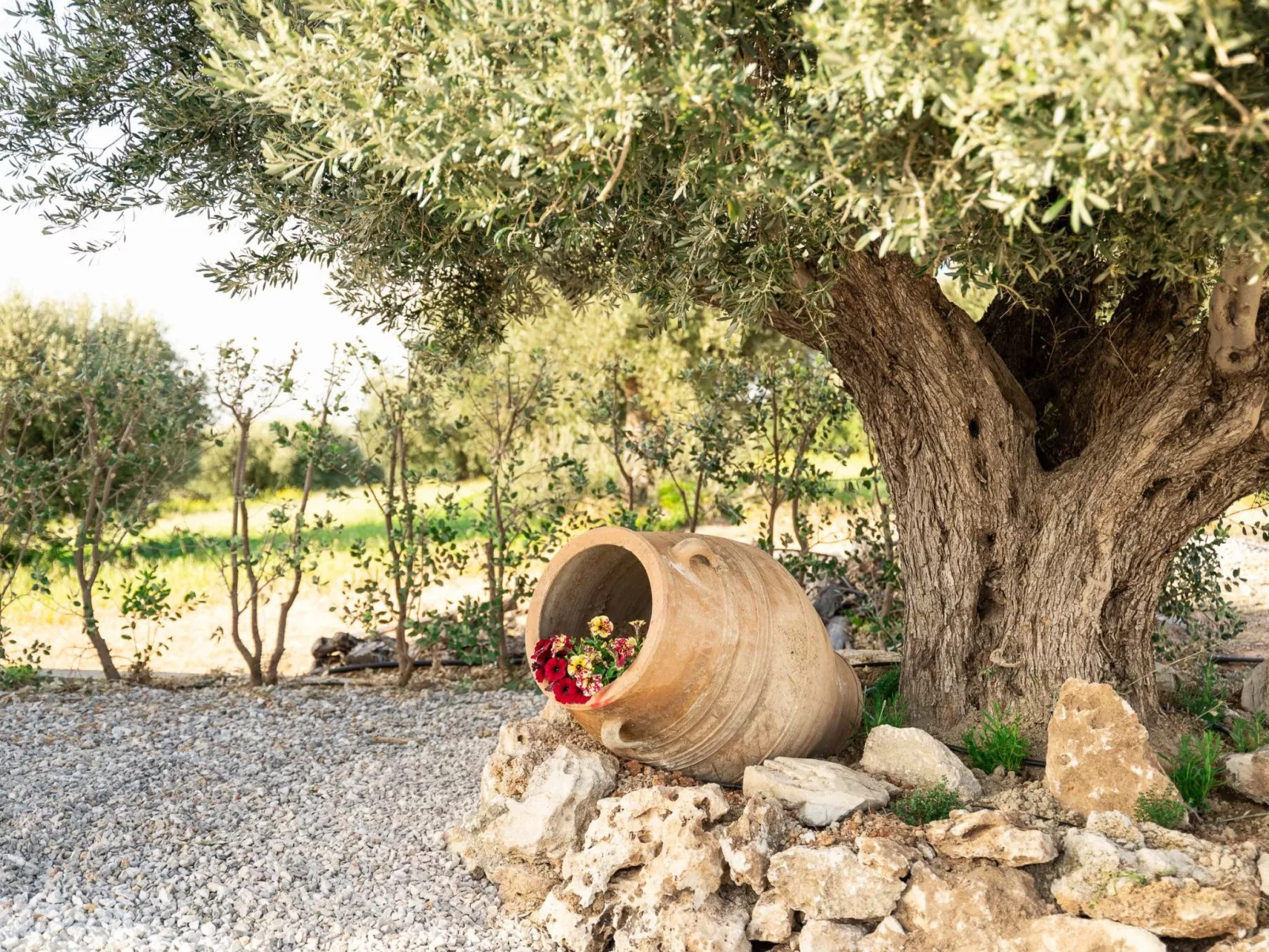 Diktamon Retreat Luxus-Villa-Outside