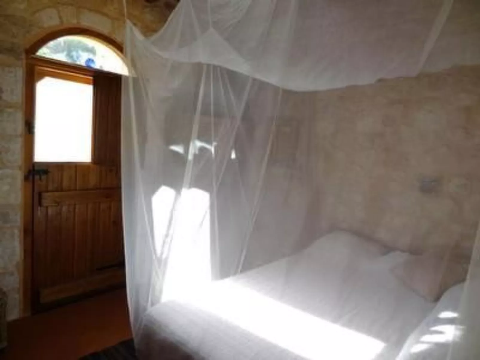 Spiti Papaya-Image-tags.info