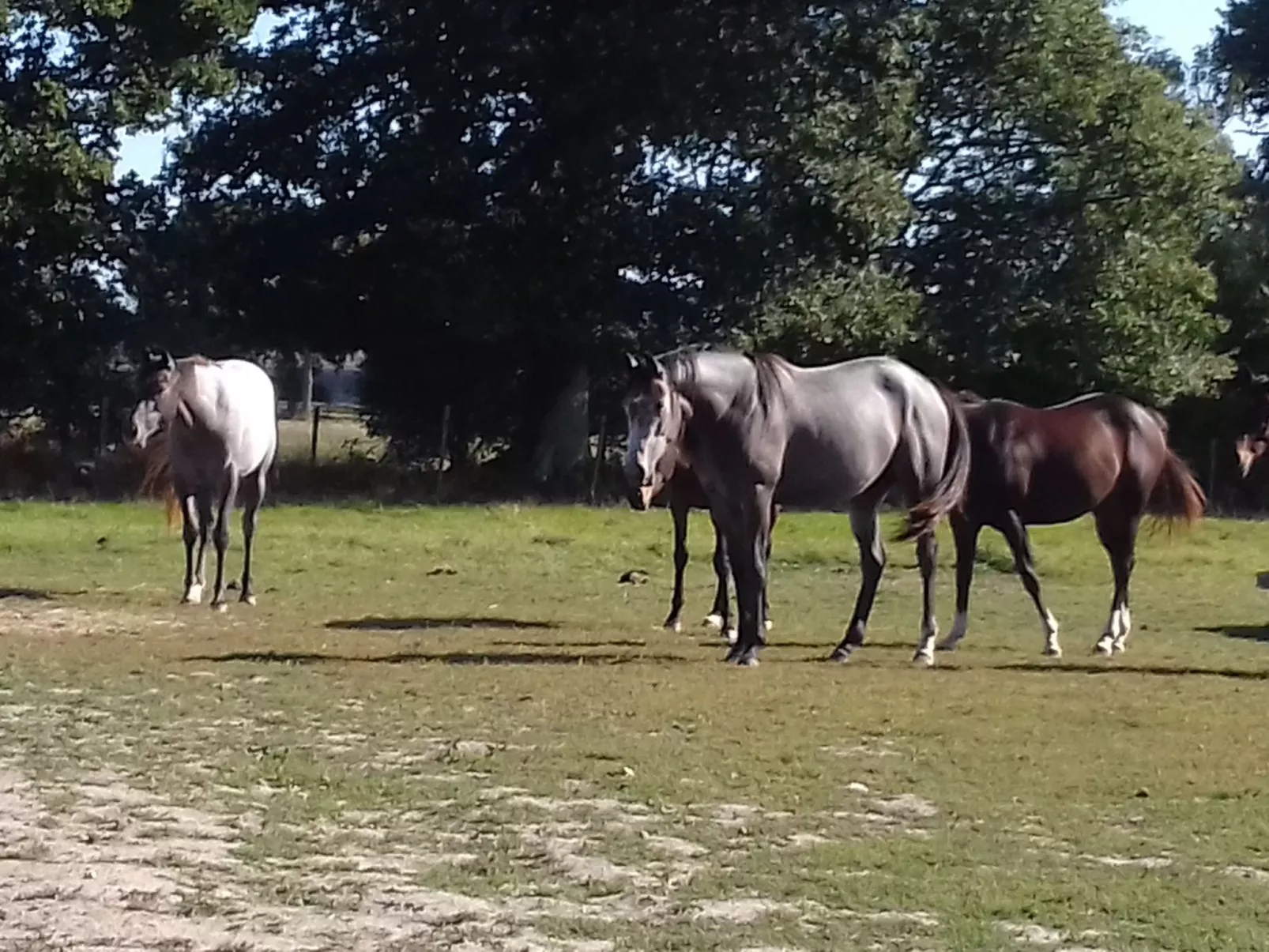 Gite Pamphilienne mit Blick auf Mont Saint Michel-Dehors
