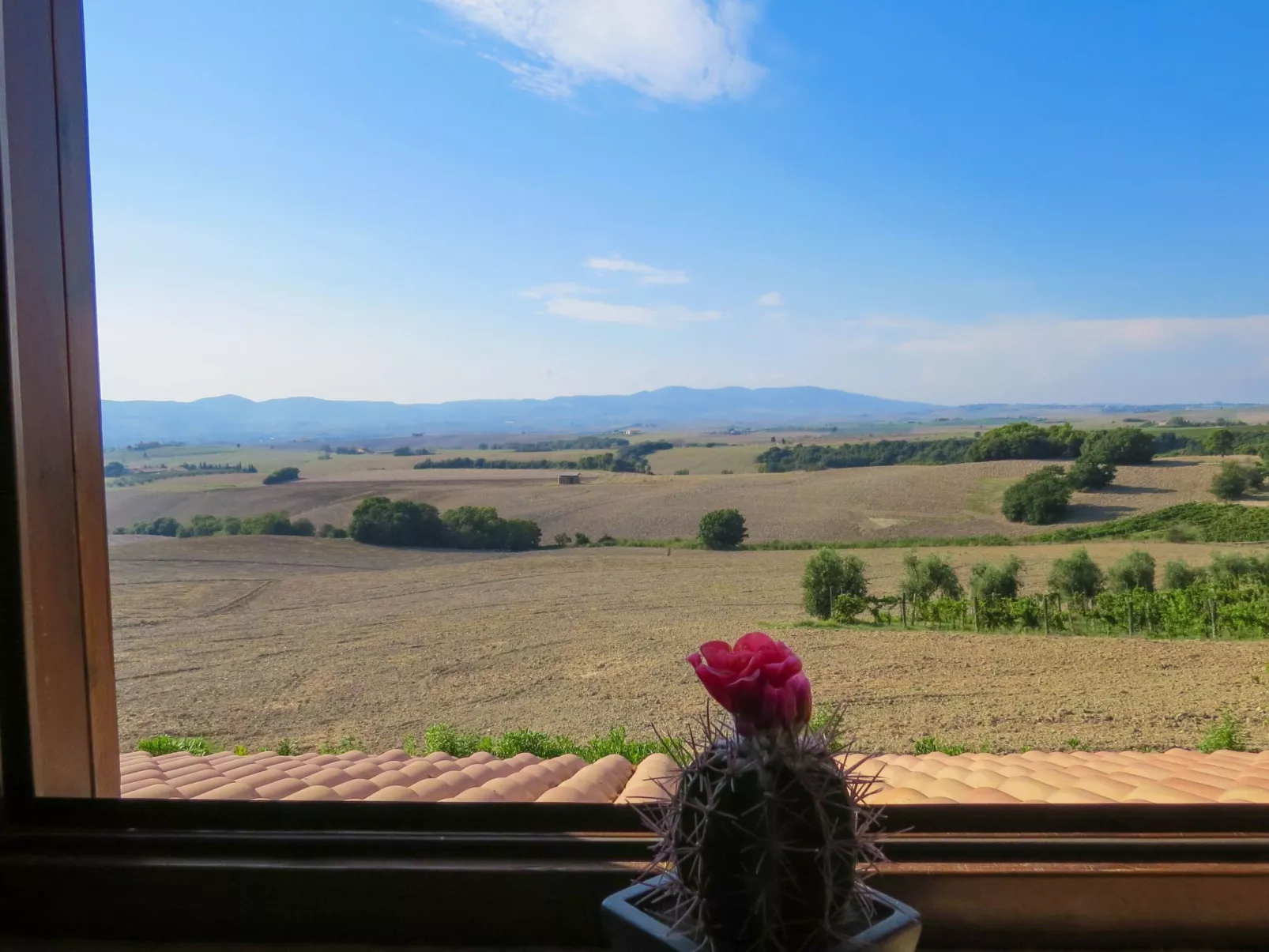 "Pieve pomaia Trilo5-Outside