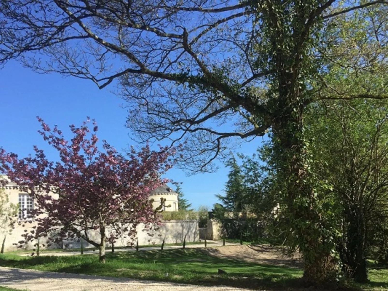 Cottage Garten 70m2 mit Pool in Azay le rideau-Draußen