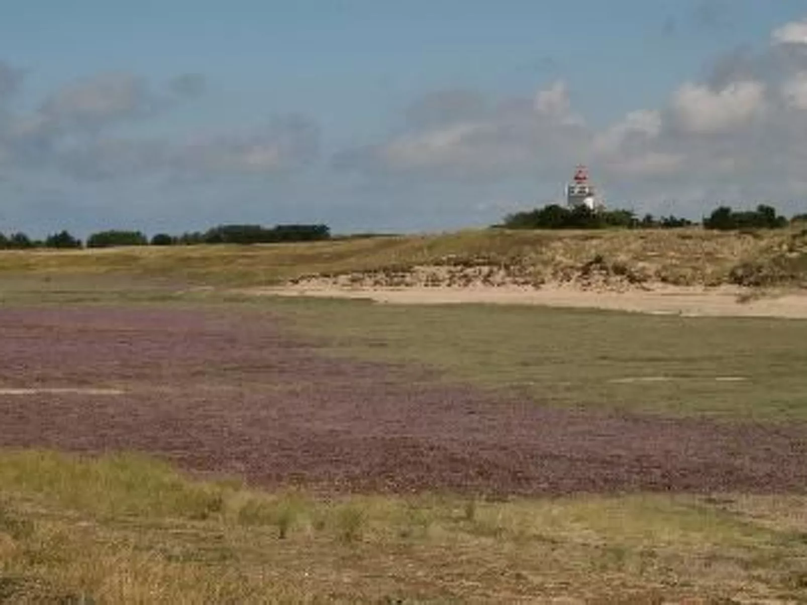 "8883" in Strandnähe-Outside