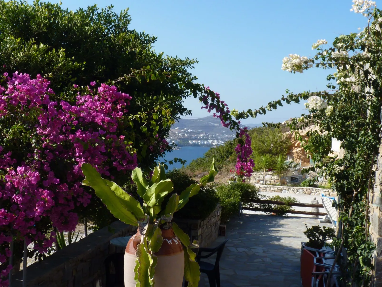 Apollon Paradise-Draußen