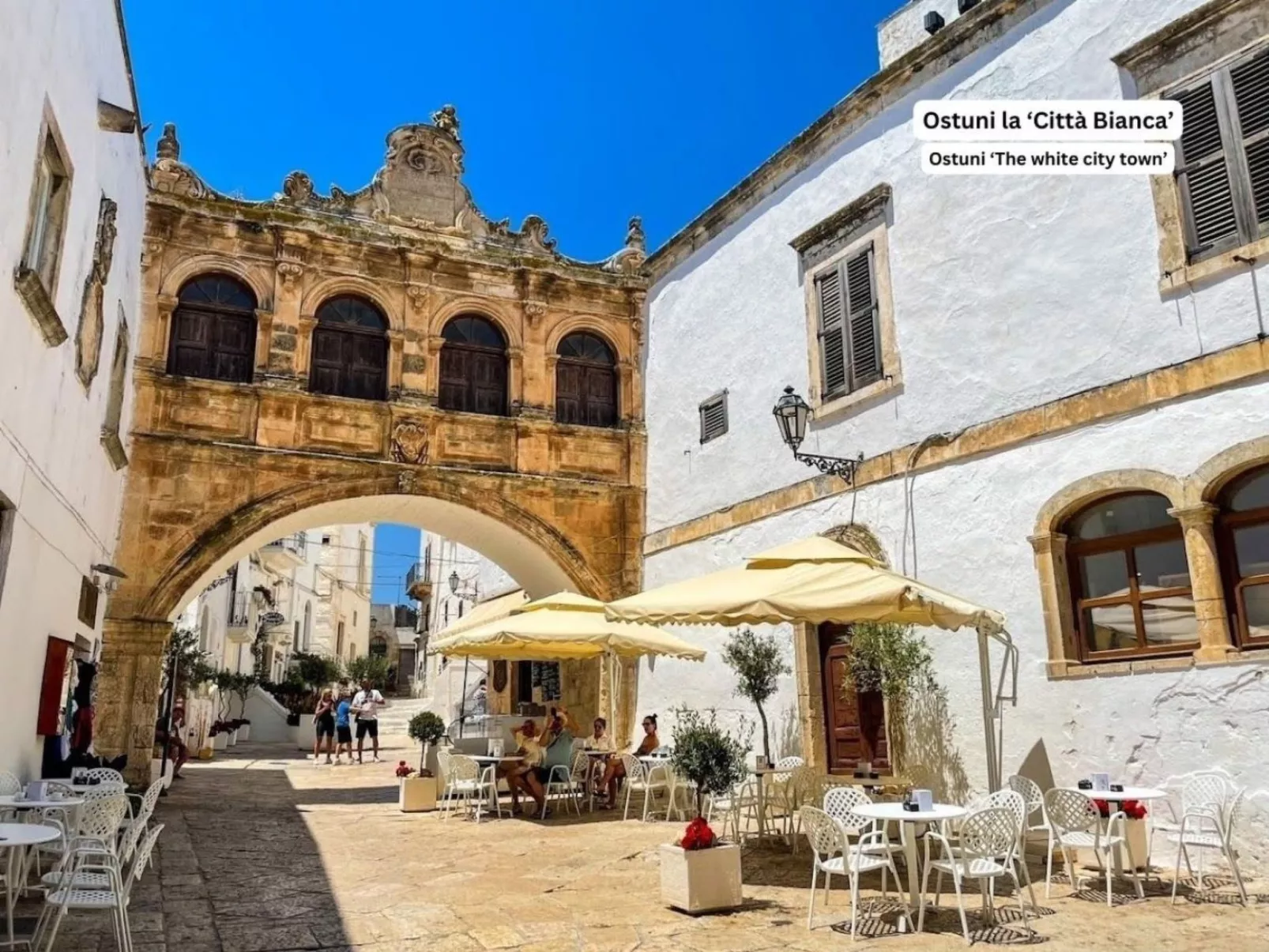 'Connie's House-Inside