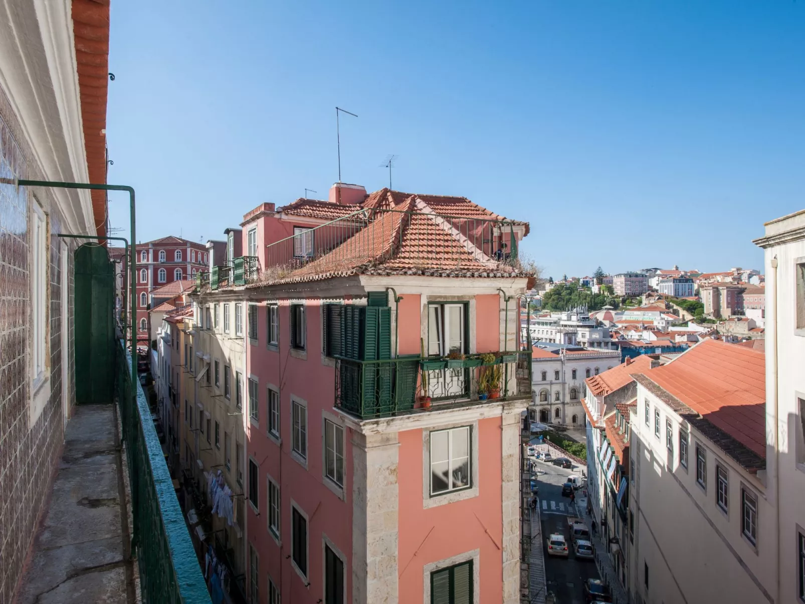 Duke-Image-tags.info