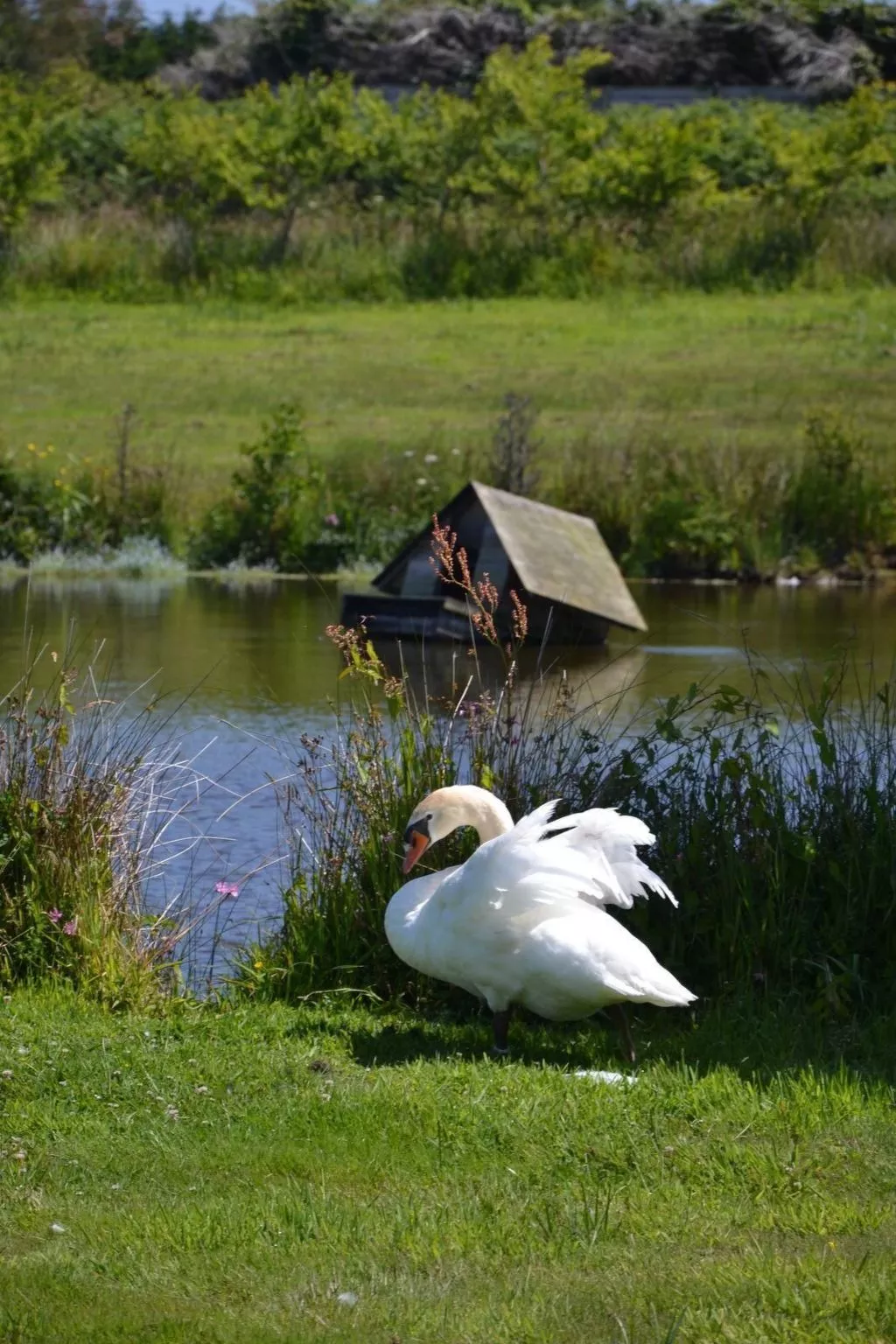 Idyllischer Landsitz mit Meerblick-Image-tags.info