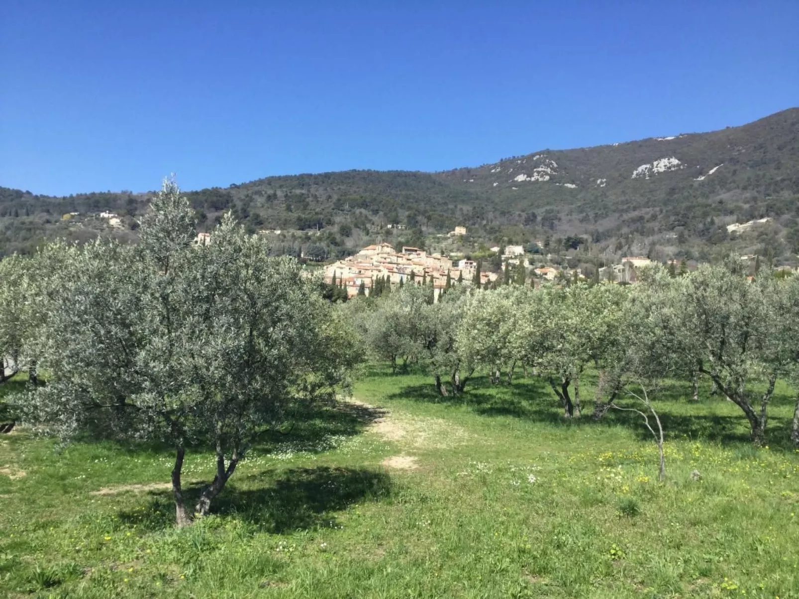 "Meline" mit Aussicht-Draußen