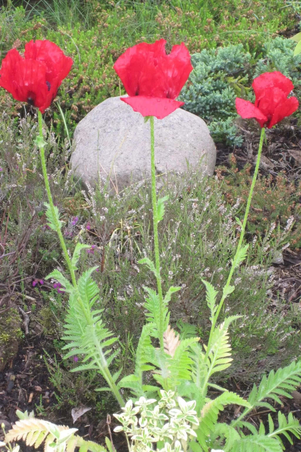 Landhaus am See-Outside