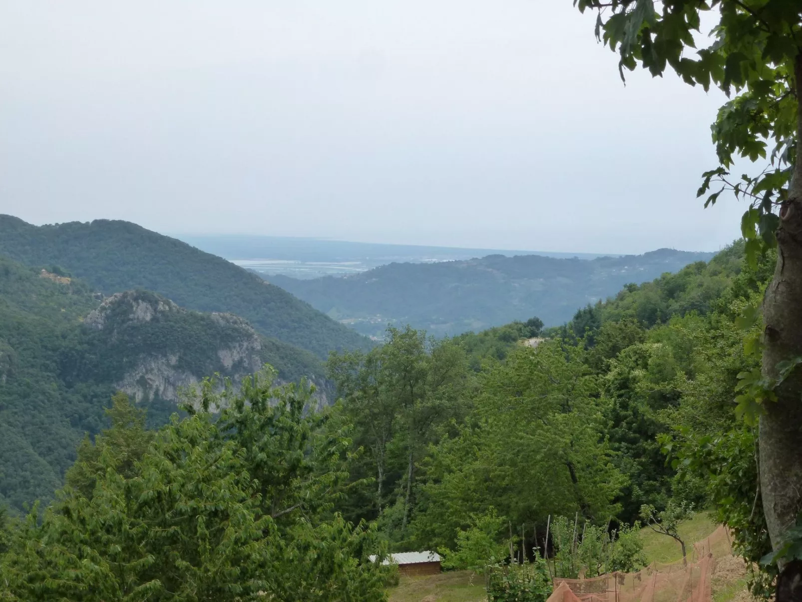 Mit Garten, Grill und Terrasse-Image-tags.info