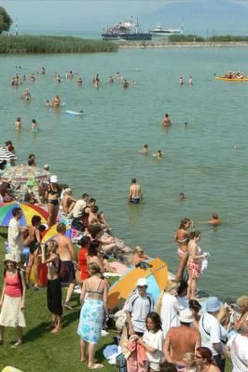 BO-42-Image-tags.info