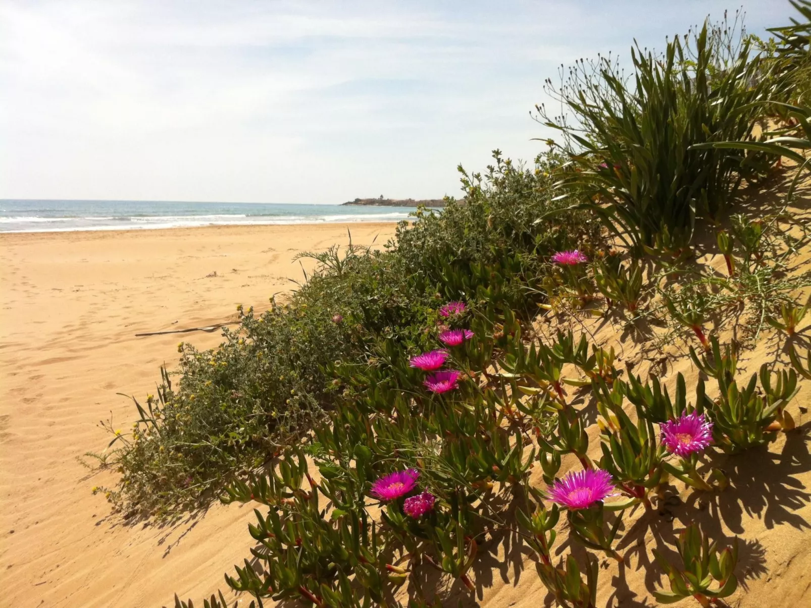 Gemütliches Haus in Scicli mit Panoramaterrasse-Drinnen