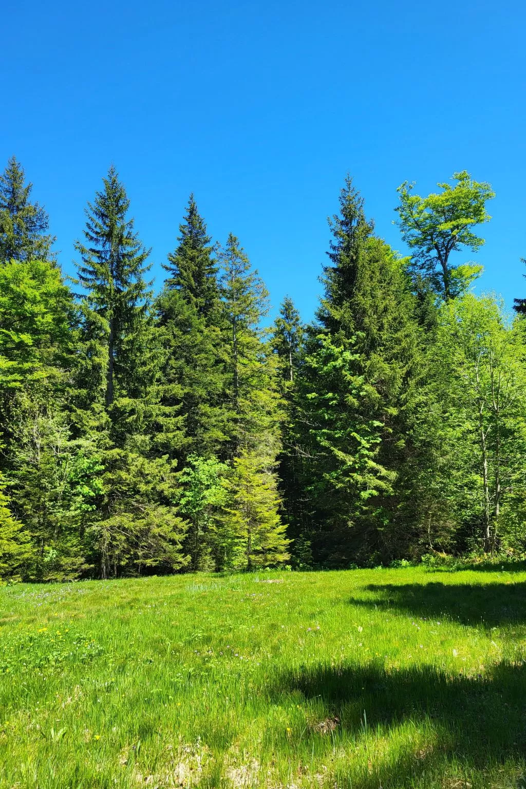 Fewo Pistenblick-Dehors