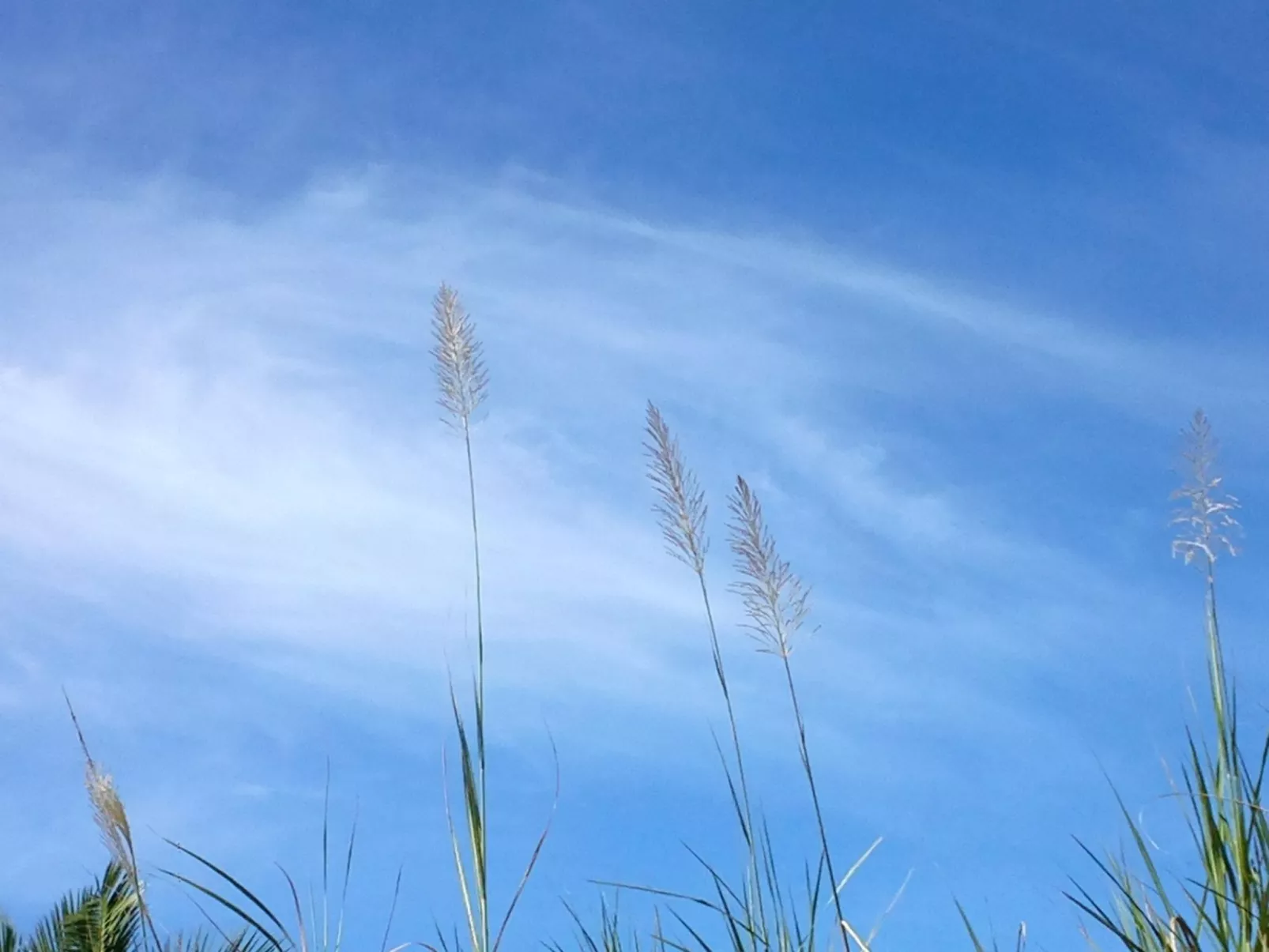 Steinhaus mit Panoramadachterrasse-Drinnen