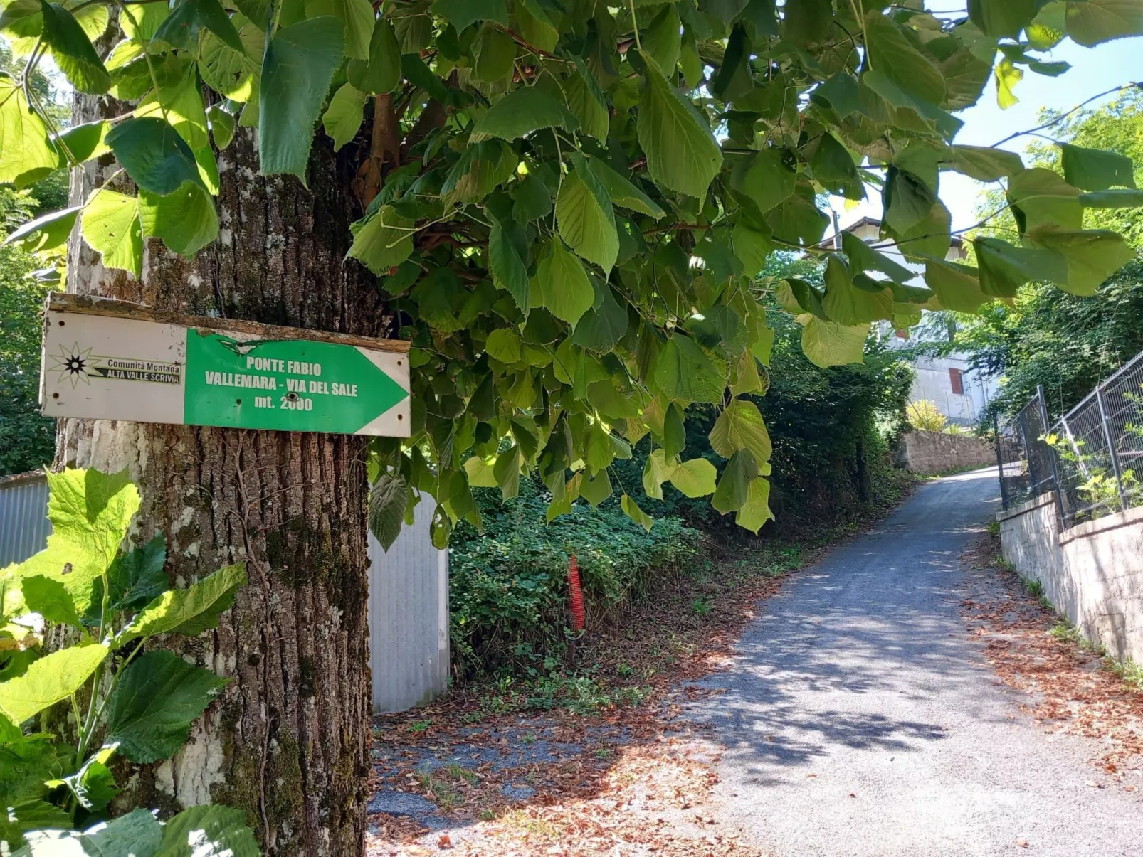 House Canova by Holiday World-Outside