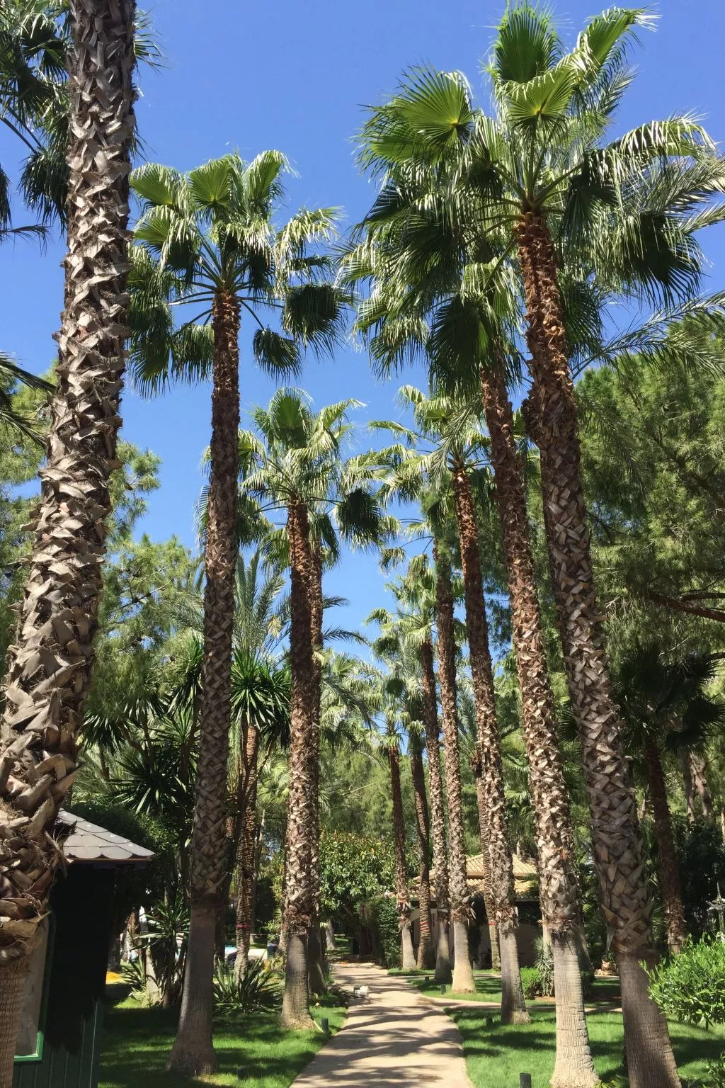 Ferienvilla El Oasis-Outside