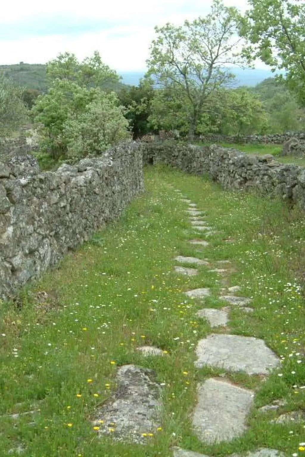 Das Cortijo auf der Finca al-manzil-Image-tags.info