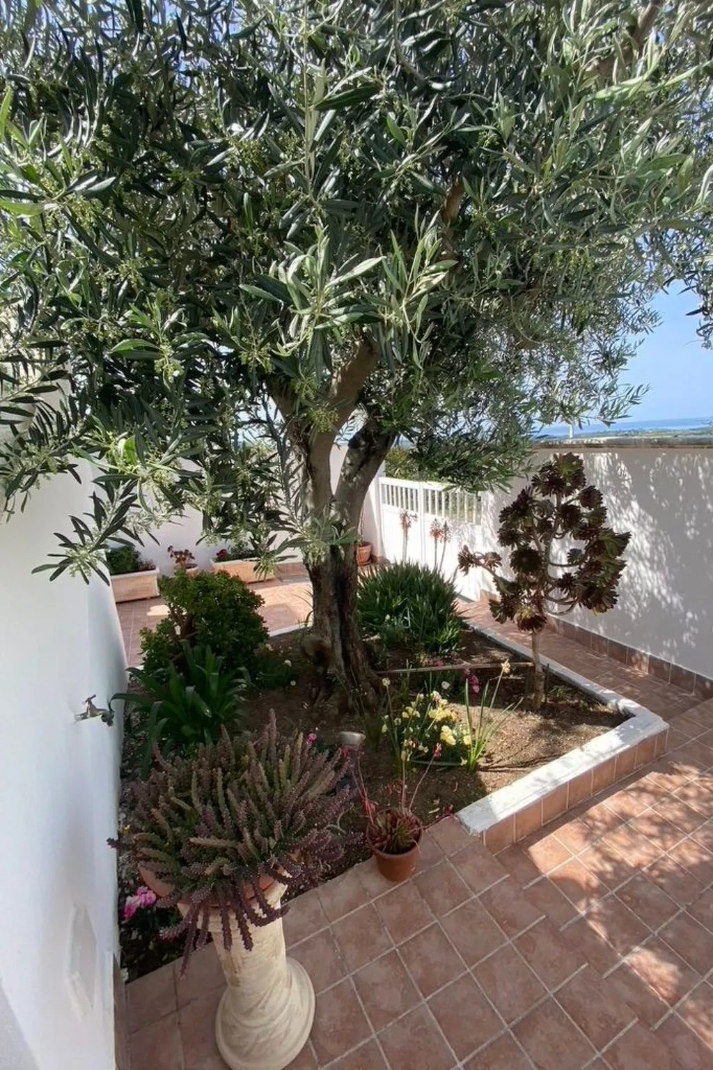 'Sardinia Sunshine-Image-tags.info