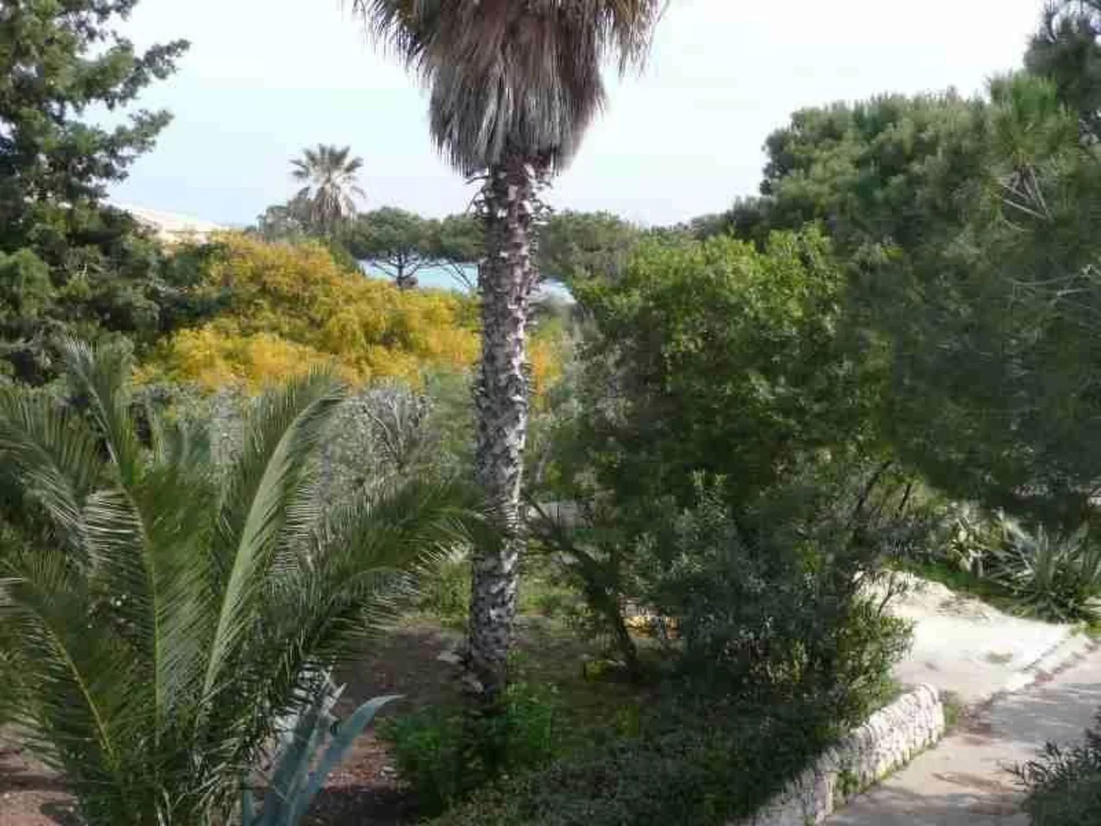 Villa Matilde: Kleine Ferienwohnung mit Meerblick-Outside