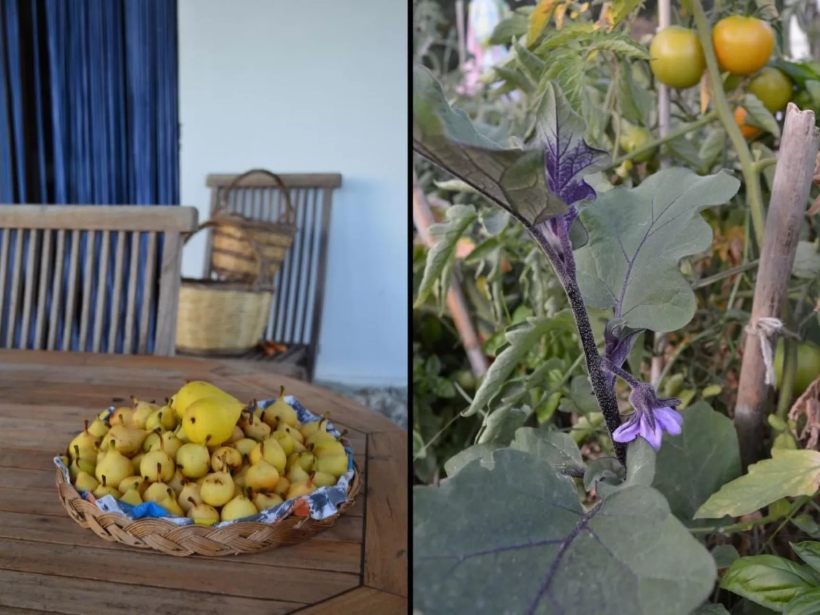 Su Sole de Barega-Image-tags.info