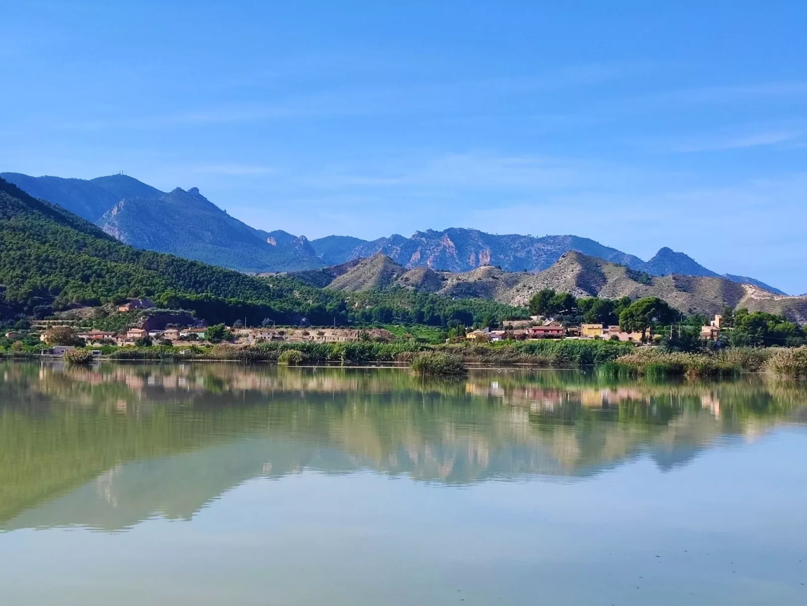 Domicilio de Vida-Image-tags.info