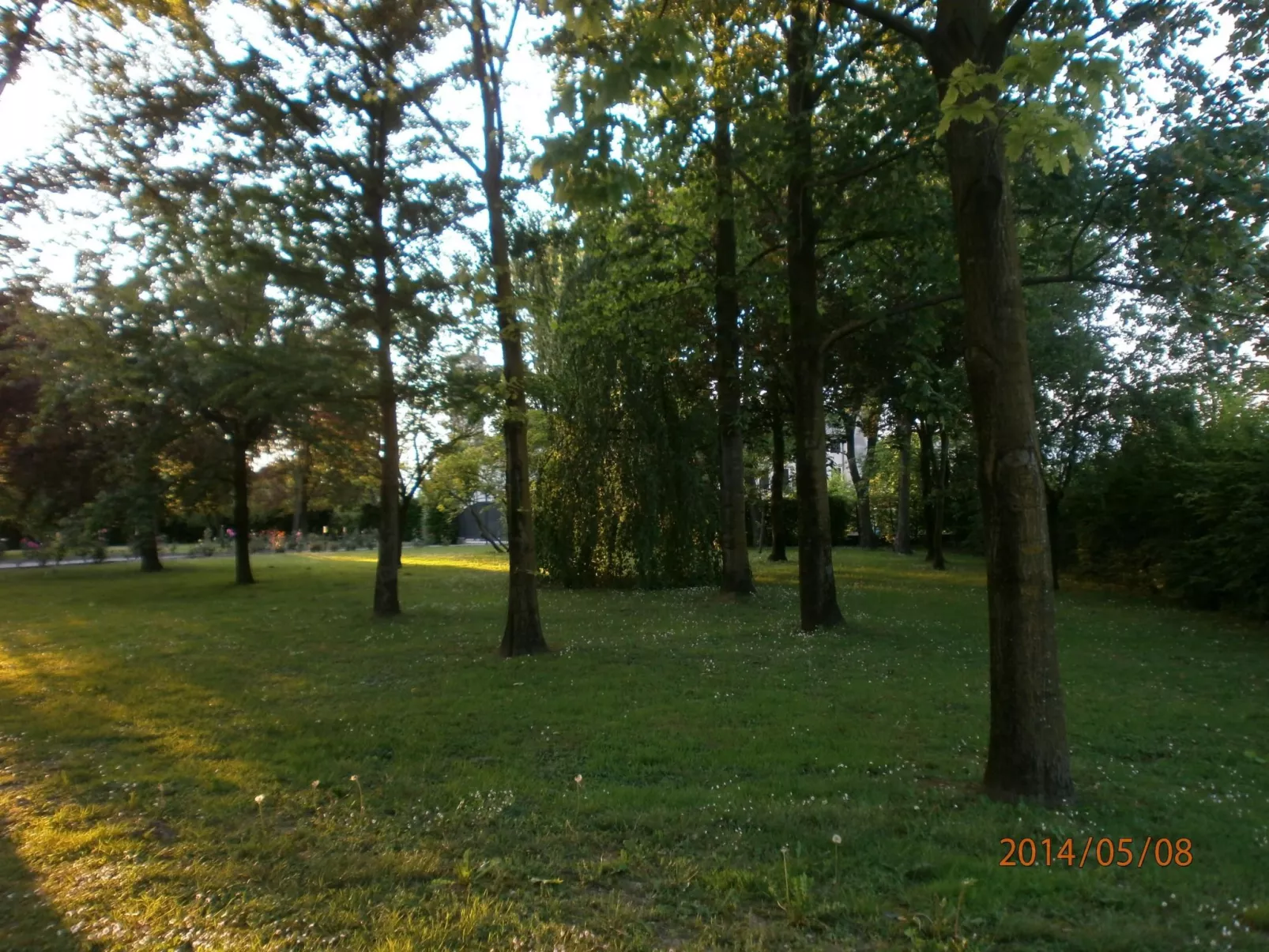 Wohnung 'Rose' mit Terrasse-Dehors