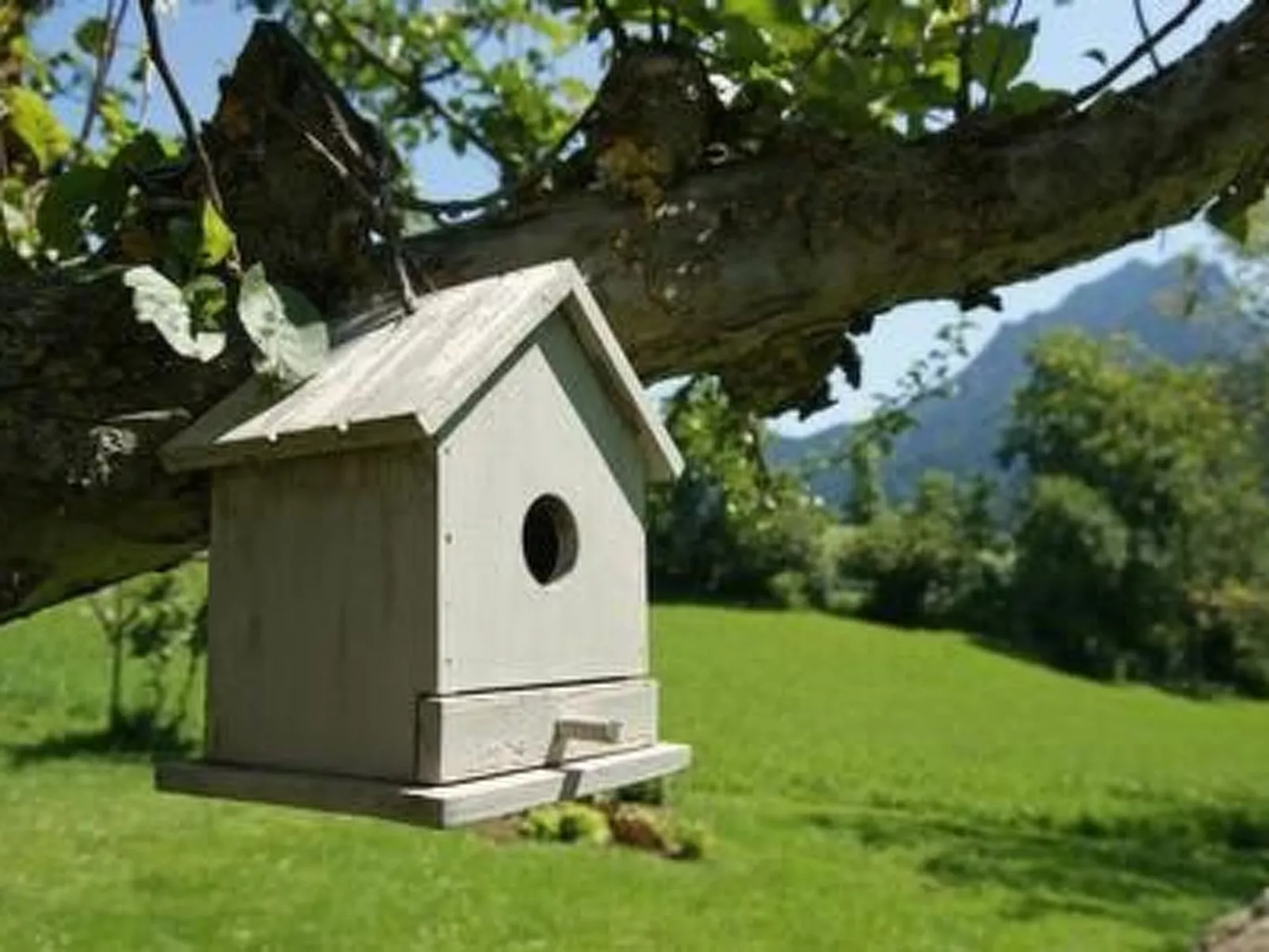 Romantisches Chalet in den Wiesen der Dolomiten-Outside