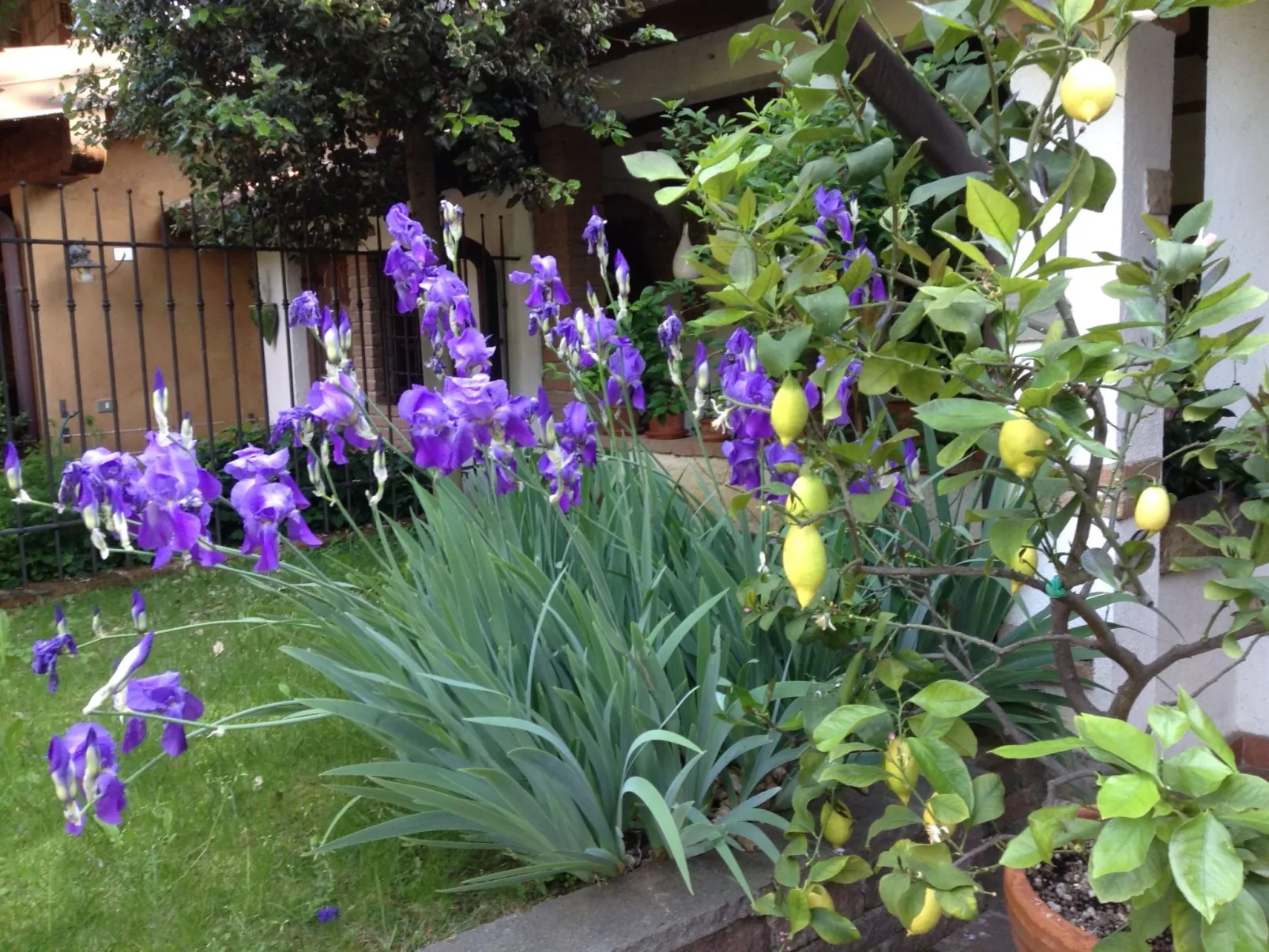 La Badia in Franciacorta 10 min. vom Iseosee entfernt-Dehors