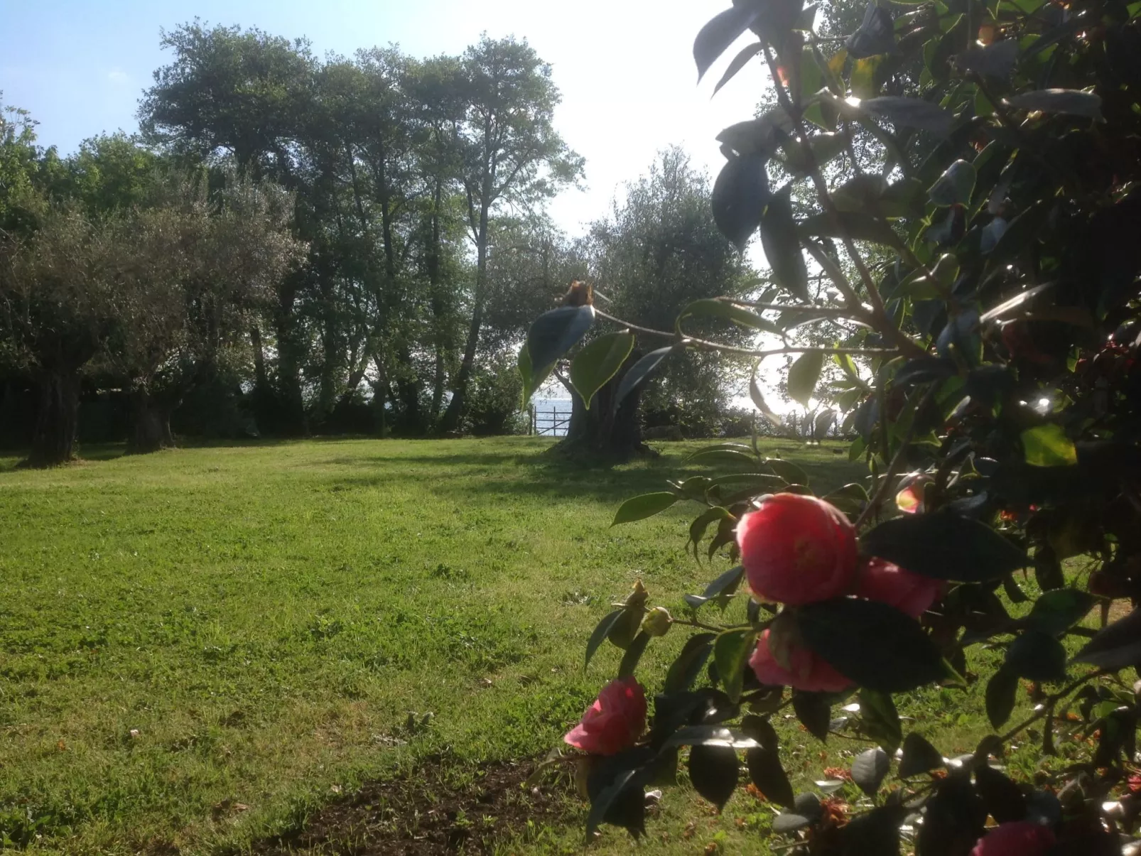 Mit Wasserblick-Outside