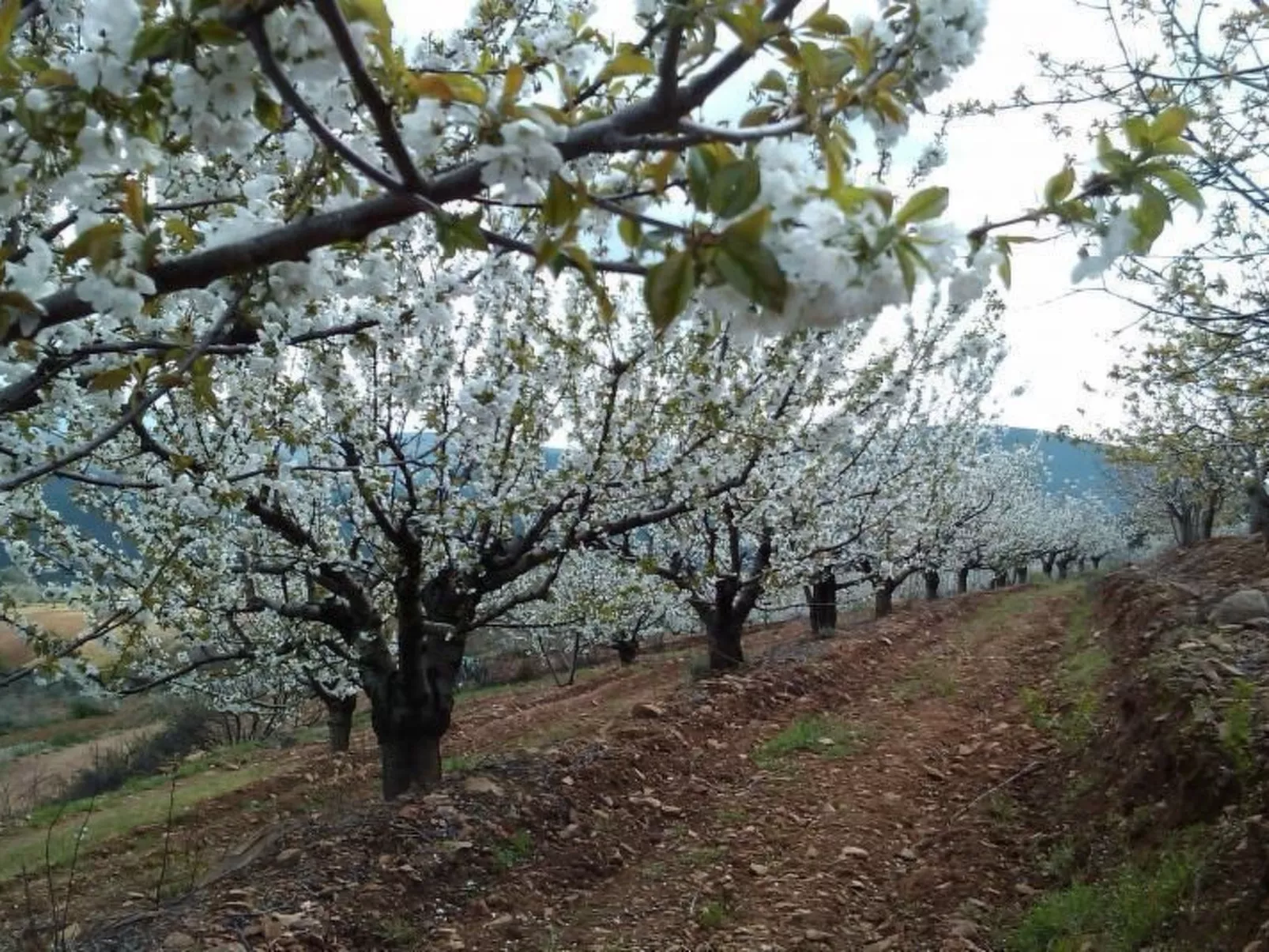 El Mirador del Soto-Outside