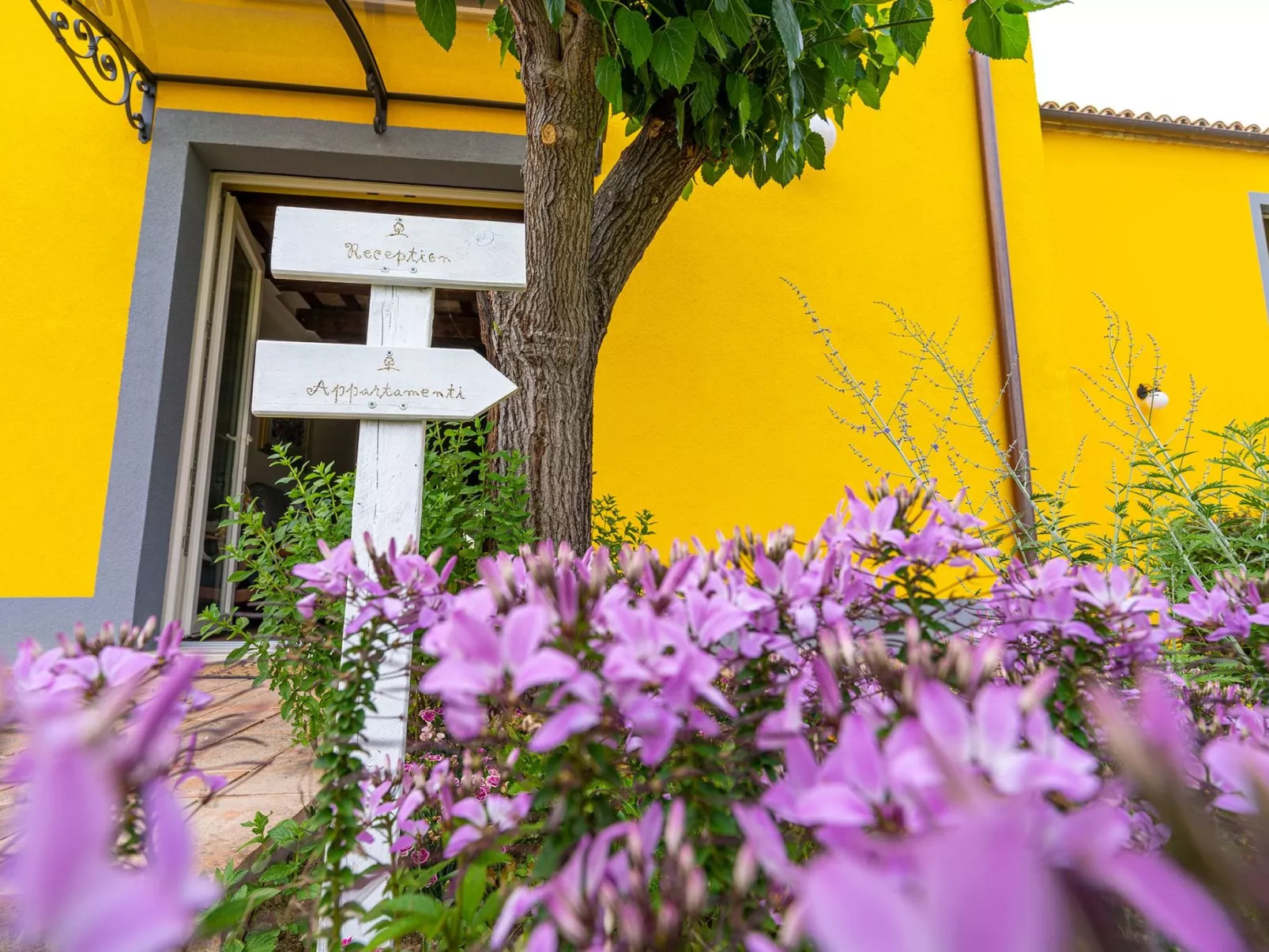 Wohnung 'Girasole' mit Schwimmbad-Outside