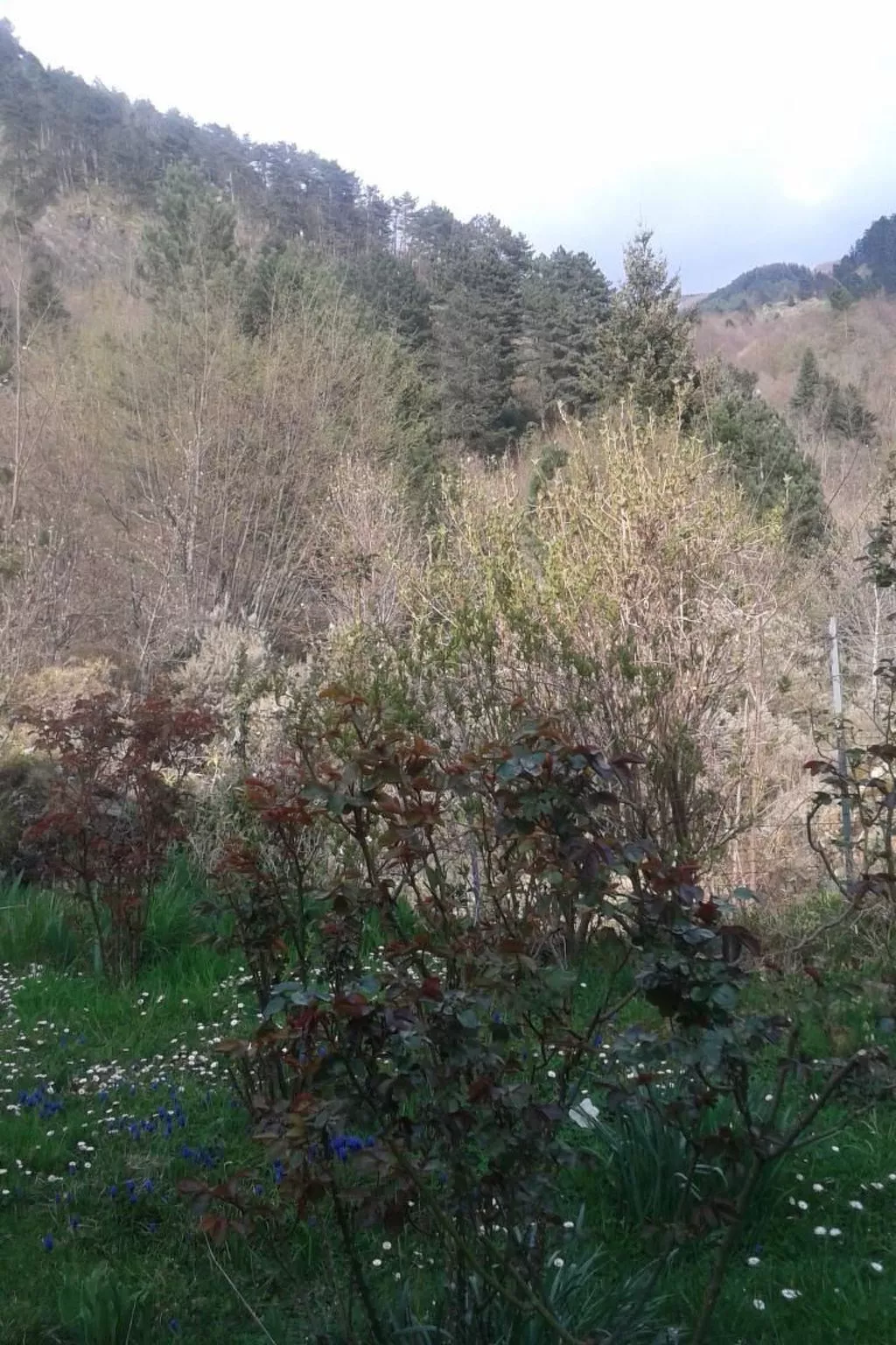 Natur und Entspannung, Villa im Park-Outside