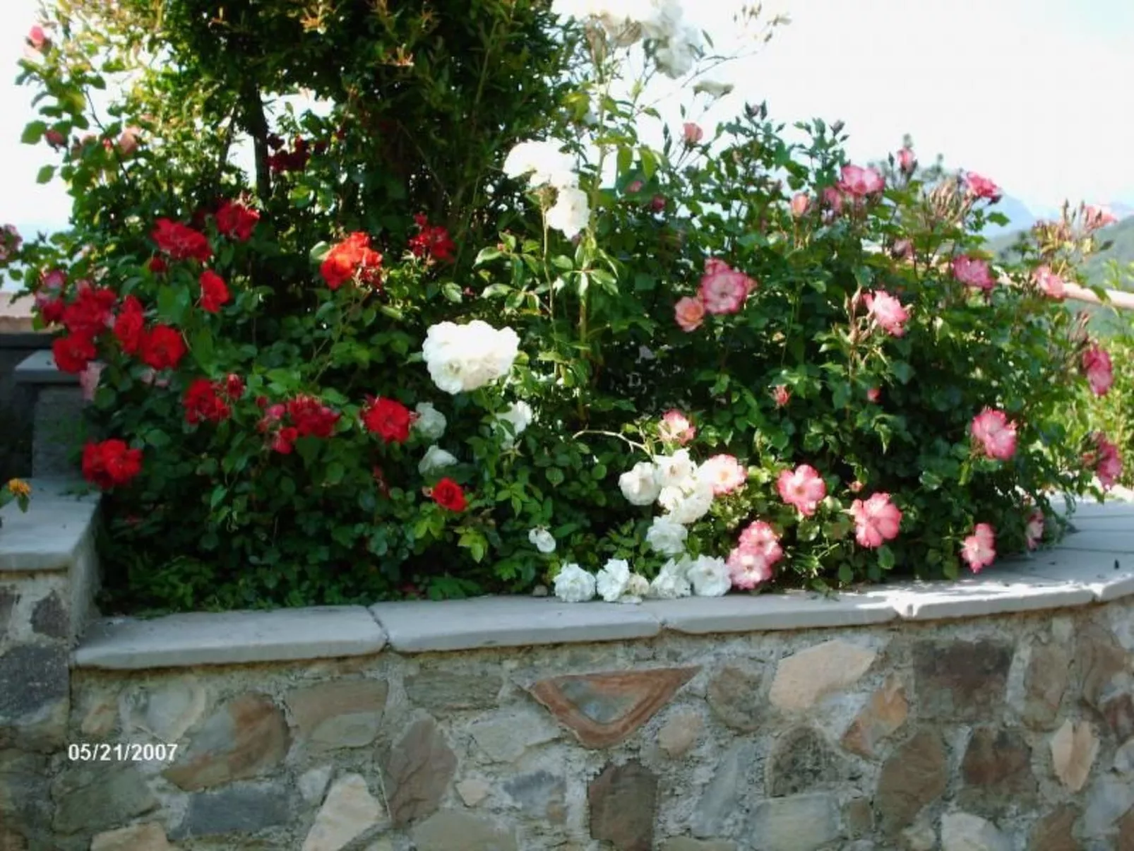 Agriturismo L'Argilla - Wohnung-Dehors