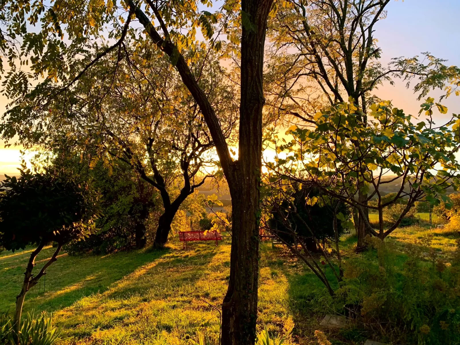 CASA ANCARANO Sirolo-Image-tags.info