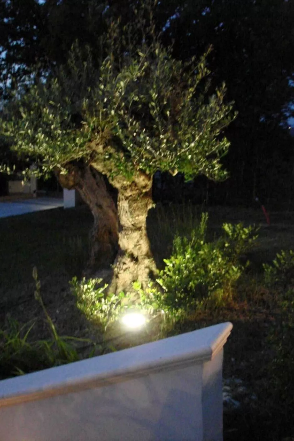 Charmante Lösung, Schwimmbad 10 Minuten vom Meer entfernt-Dehors