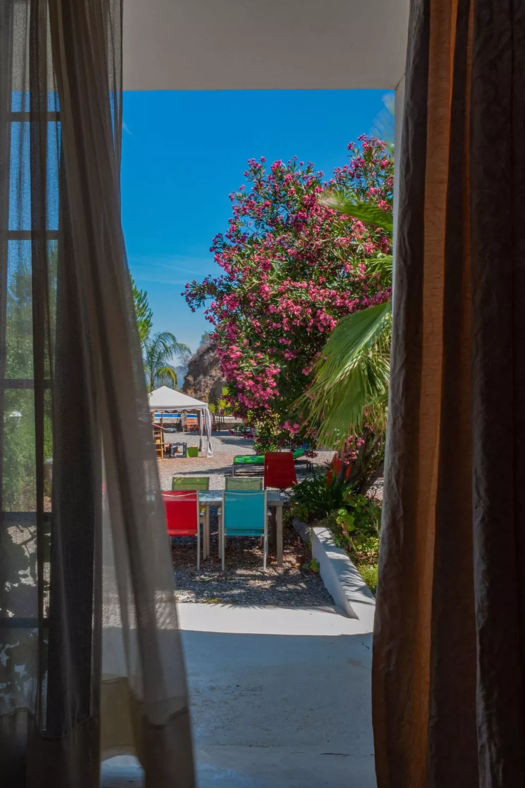 Seeadlerhorst-Image-tags.info