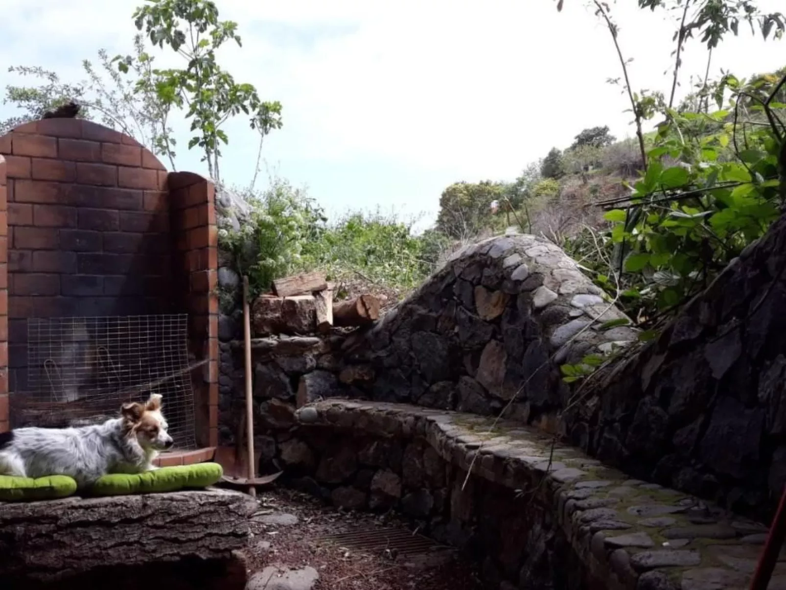 Finca "Sunny Scape Rural-Draußen