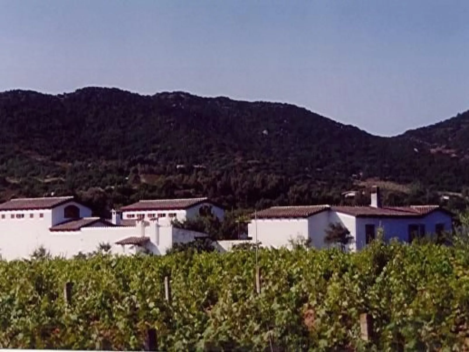 Natur, ökologische Nachhaltigkeit, nur für Erwachsene, Meer in der Nähe-Image-tags.info