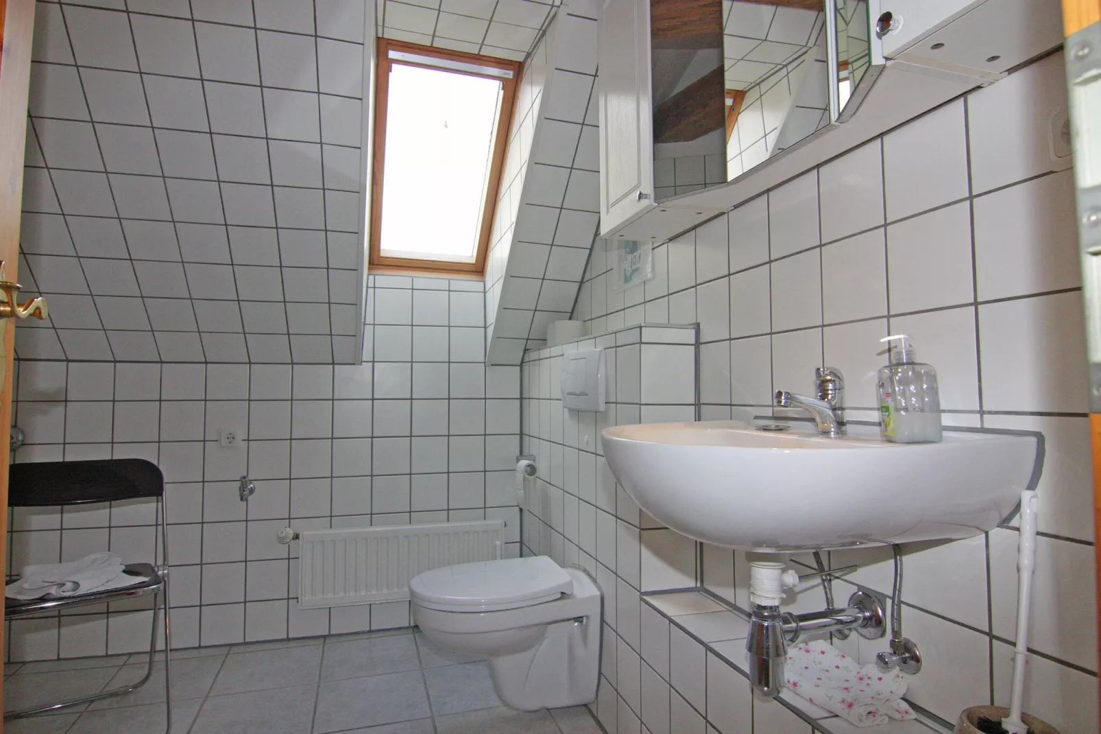 Gutshaus Schulenbrook Birke 40 m²-Bathroom