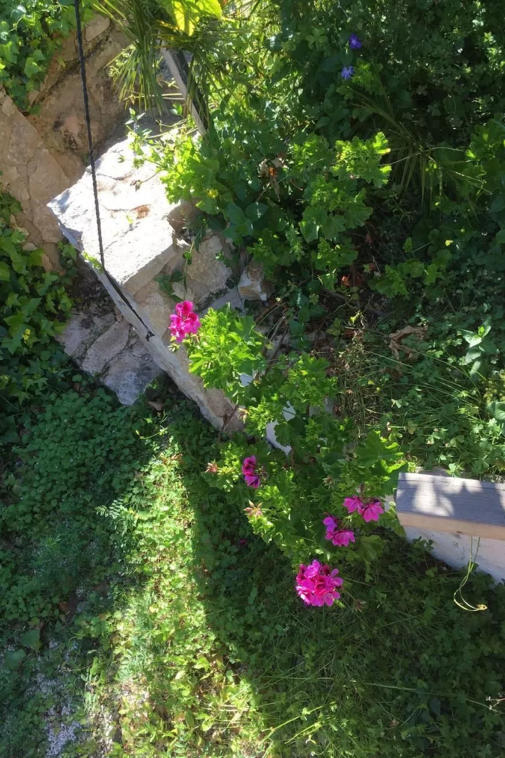 CASA  BENIMEIT-Draußen