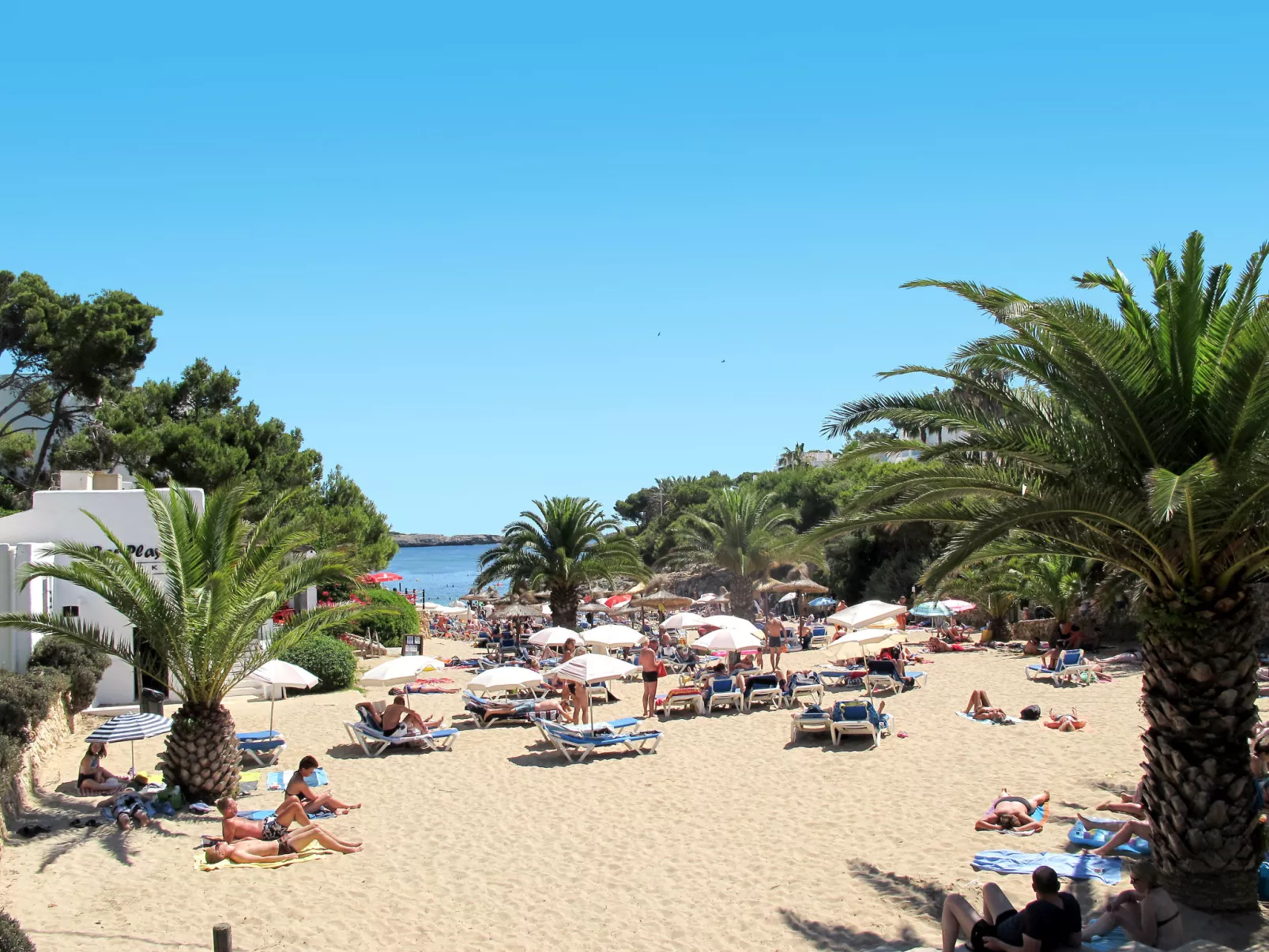 Wohnung in Cala D'or mit gemeinsamem Pool, Terrasse und Garten-Umgebung