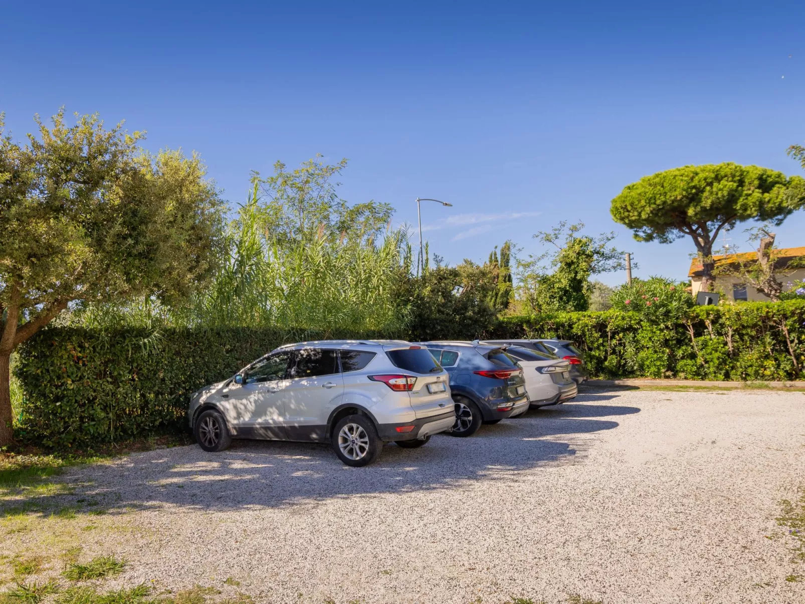 Casa Milla - Drei-Zimmer-Wohnung Fasan - Image-tags.info