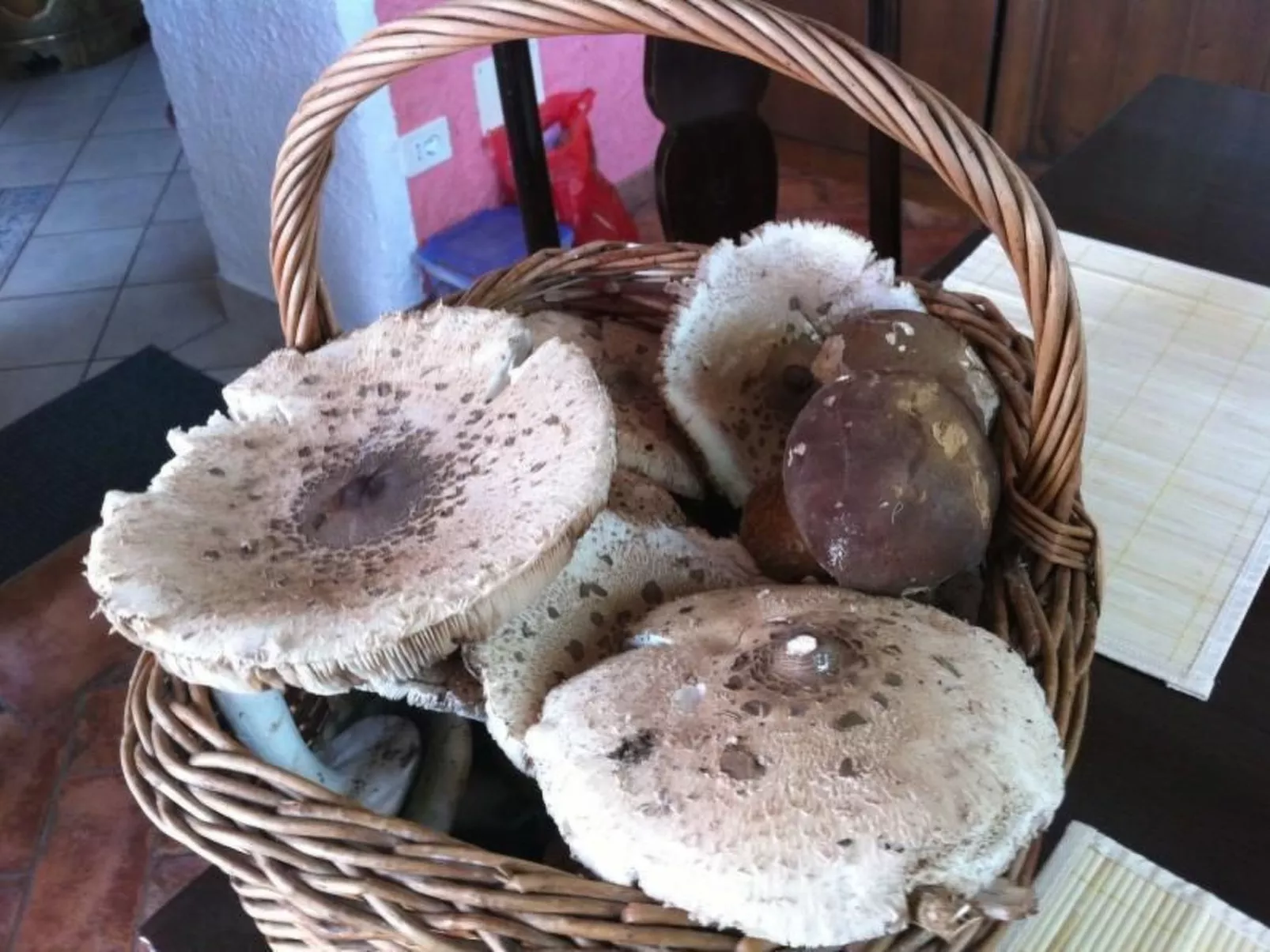 Casa Gingelina-Inside