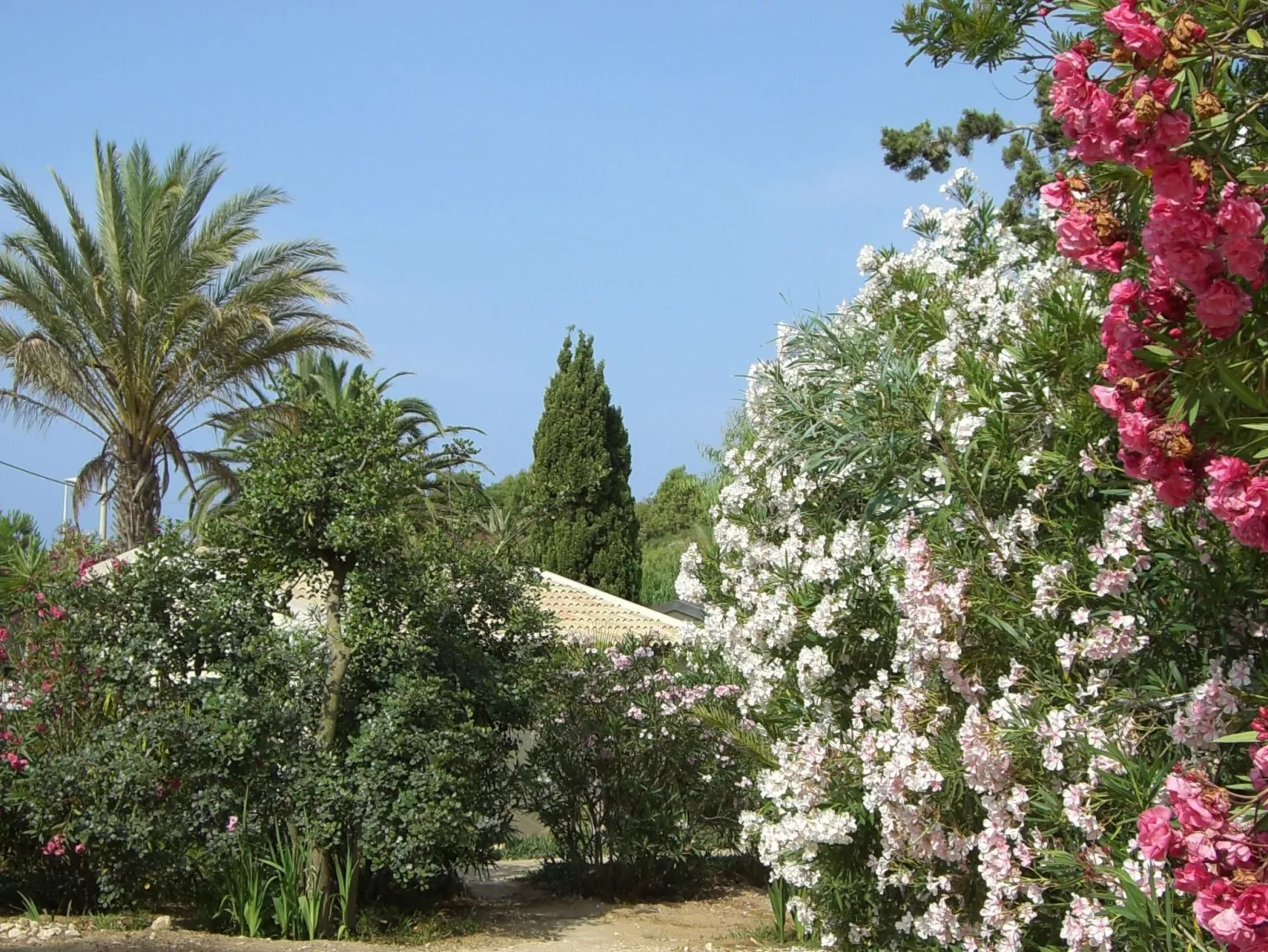 Schöner, neuer und zentraler Bungalow direkt am Sandstrand auf Sizilien-Outside