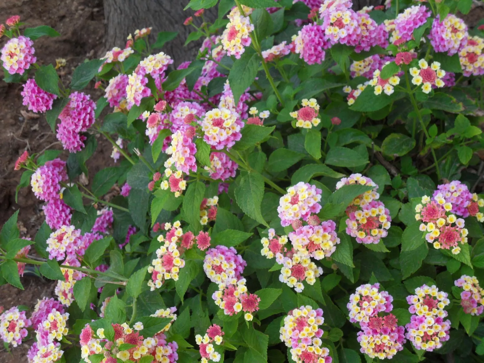 Renella' Wohnung mit Wasserblick-Draußen